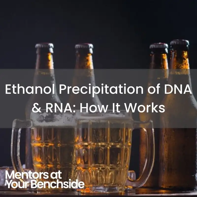 Ethanol Precipitation of DNA and RNA: How it Works