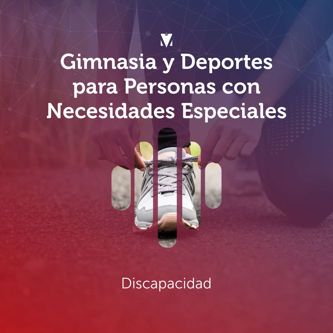 1 - GIMNASIA Y DEPORTES PARA PERSONAS CON NECESIDADES ESPECIALES: Discapacidad
