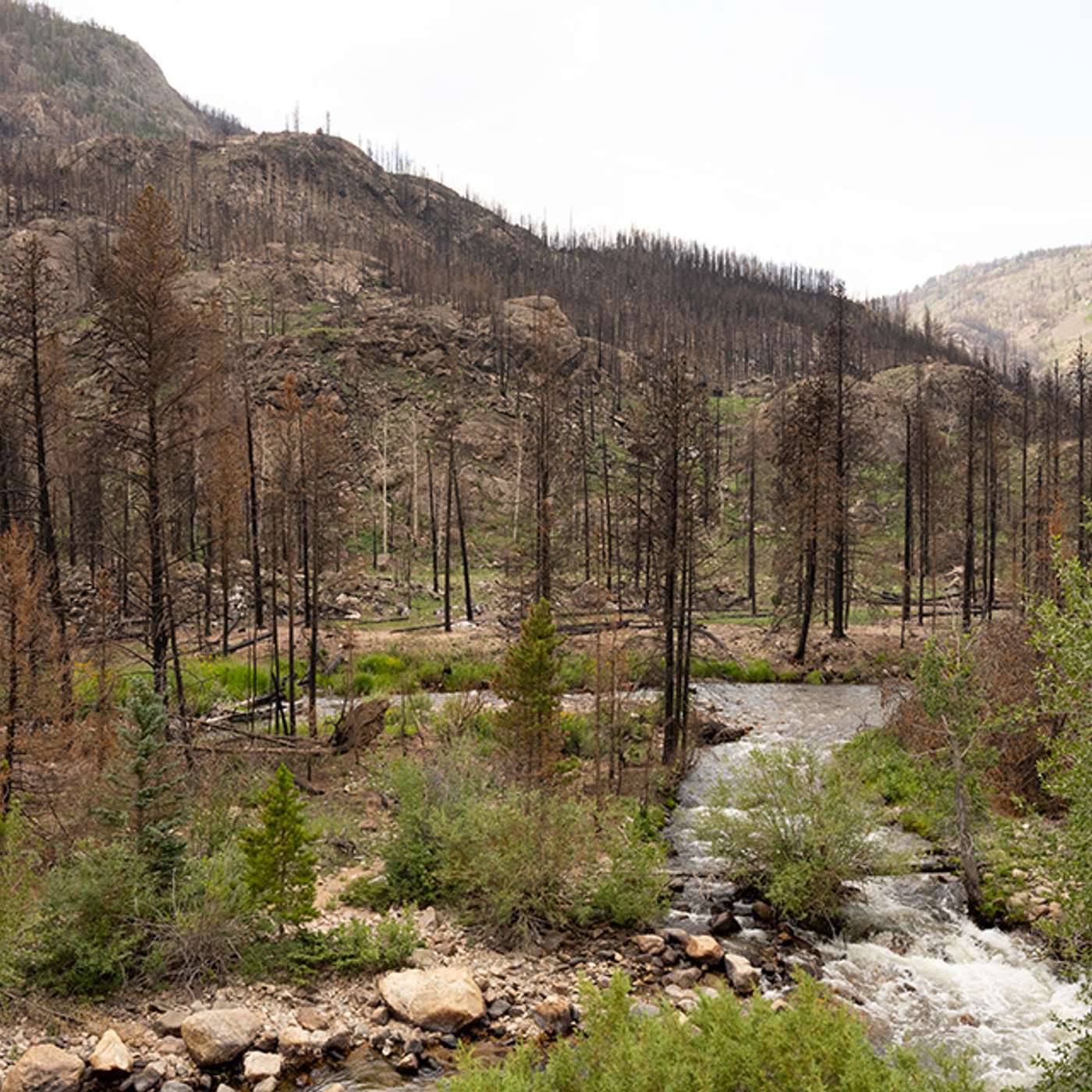 Can wildfires disrupt our sense of connectedness to beloved places?