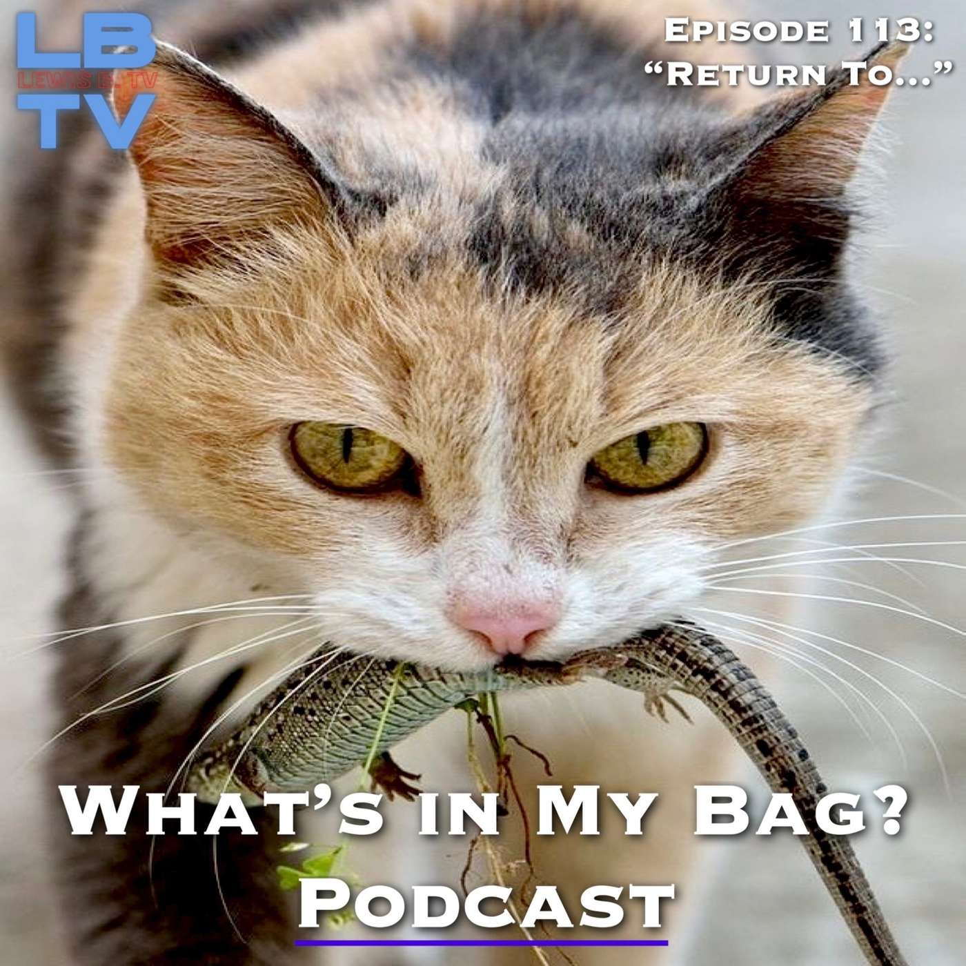 What\'s in My Bag? (Podcast)