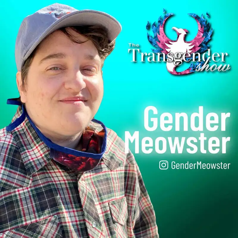 GenderMeowster
