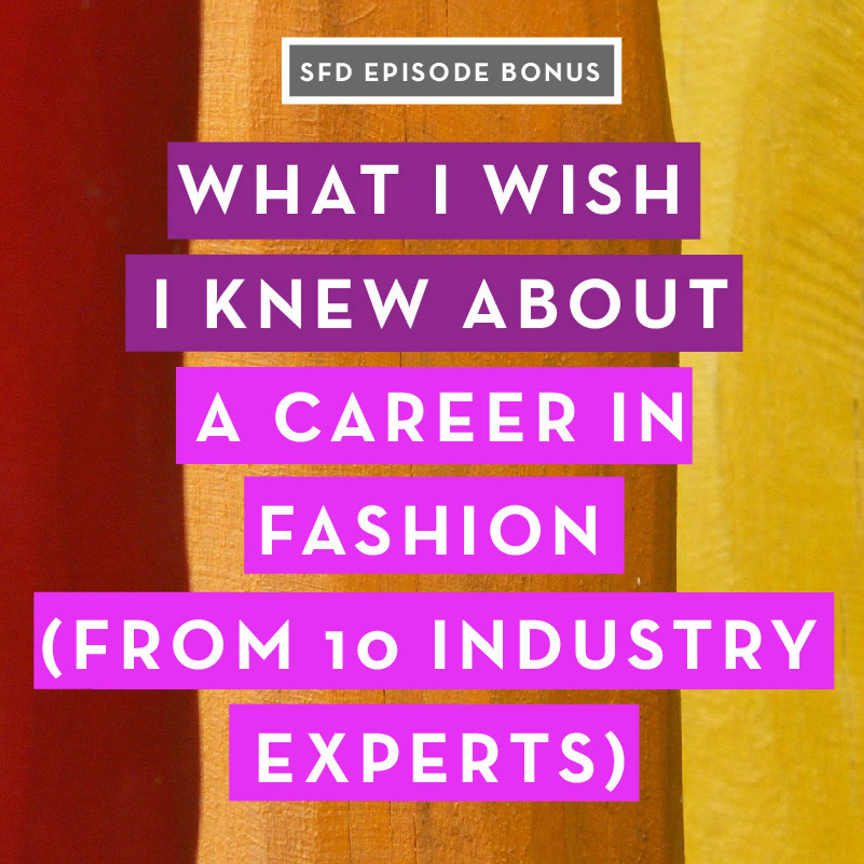 BONUS: What I Wish I Knew About a Career in Fashion (from 10 industry experts)