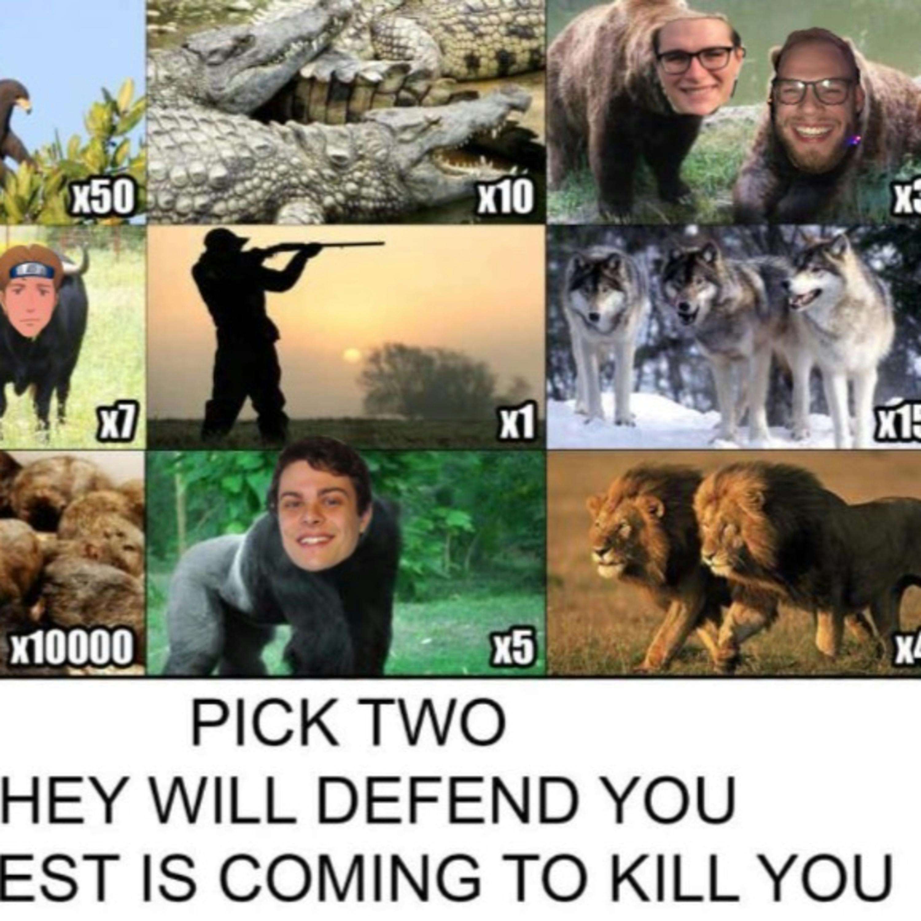 The Chungus Cast