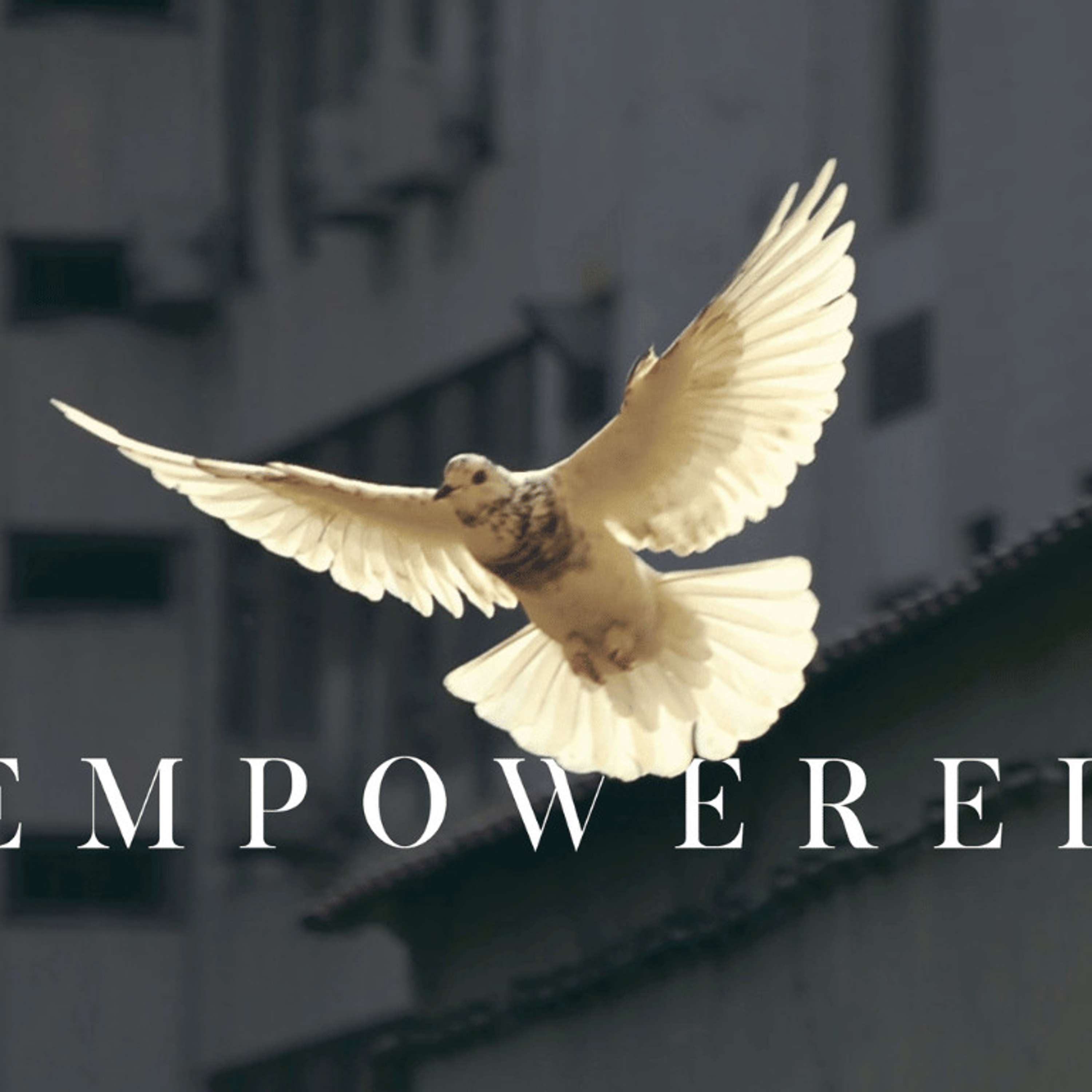 Elm City Vineyard Church Talks