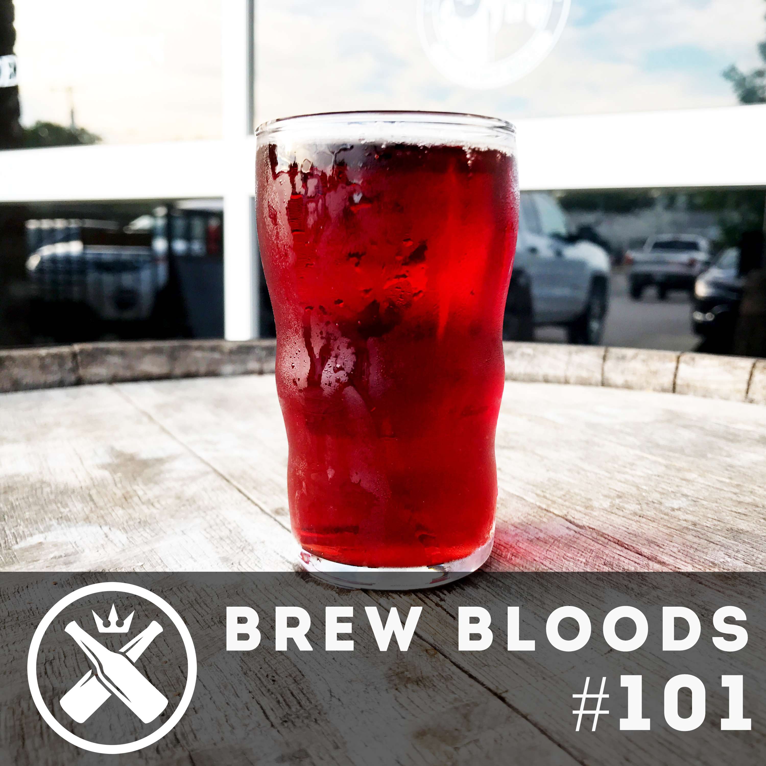 Brew Bloods: Drink Beer, Think Beer