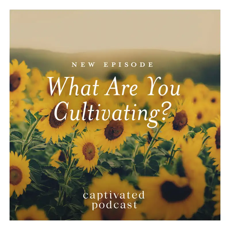 What Are You Cultivating?