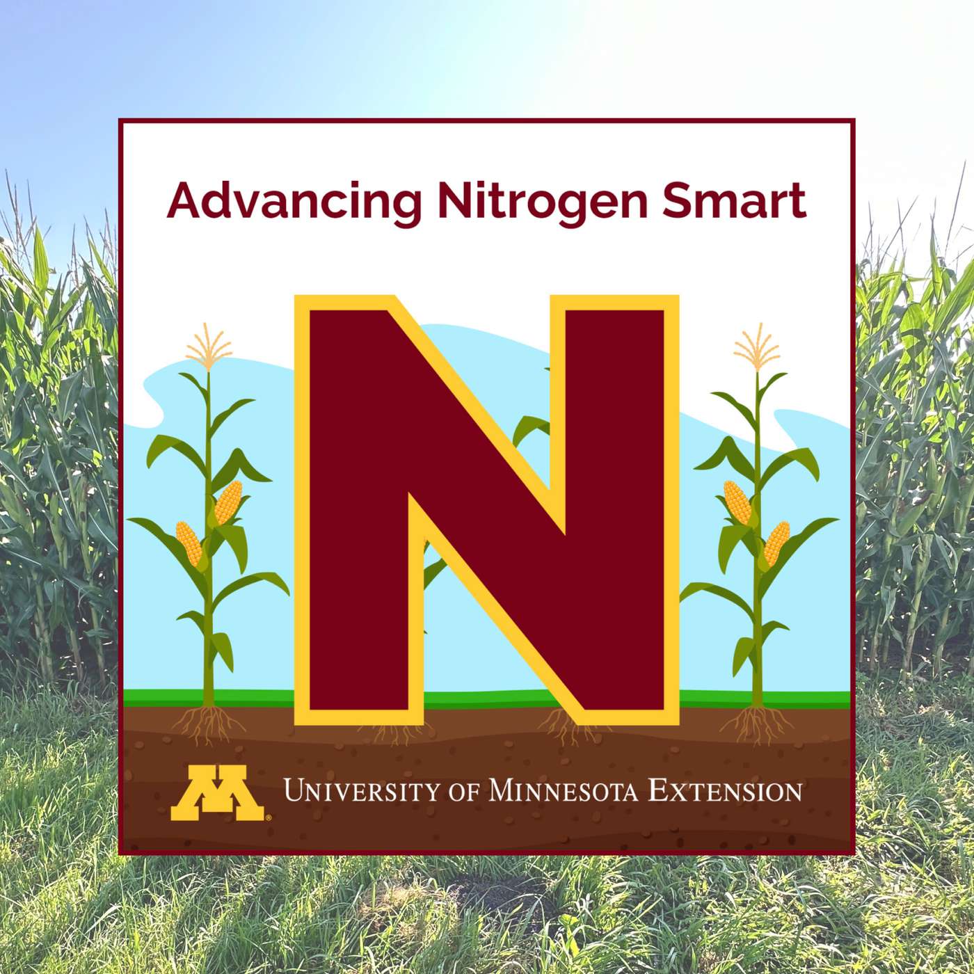 Timing nitrogen efficiently: How to maximize yield while mitigating risk