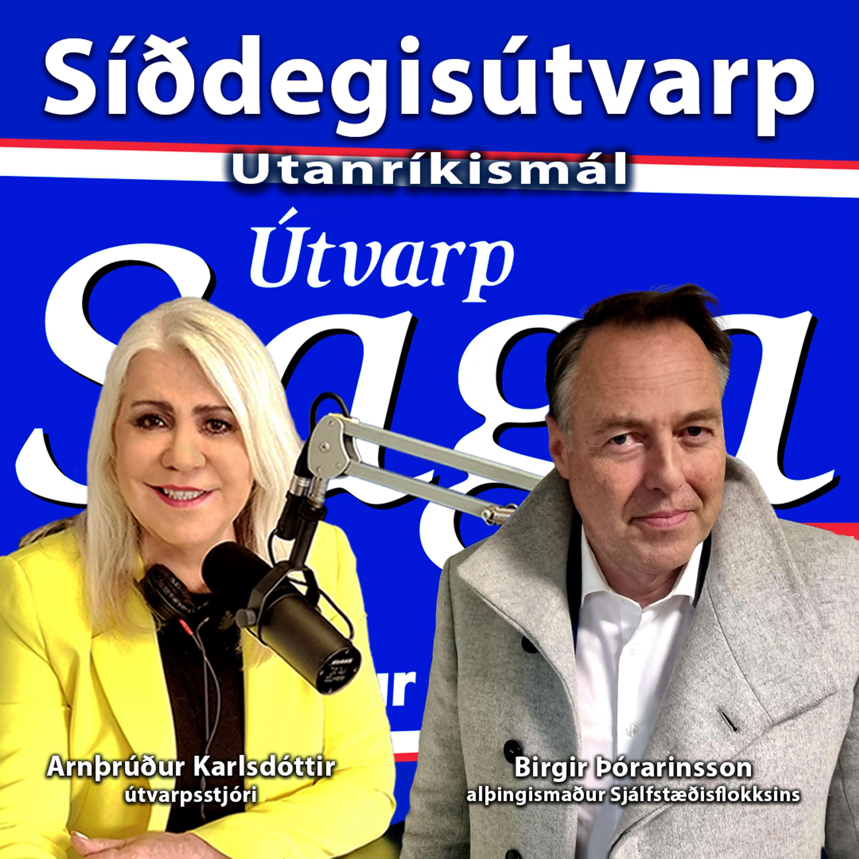 Birgir Þórarinsson alþingismaður XD og formaður öryggis og stjórnlaganefndar ÖSE