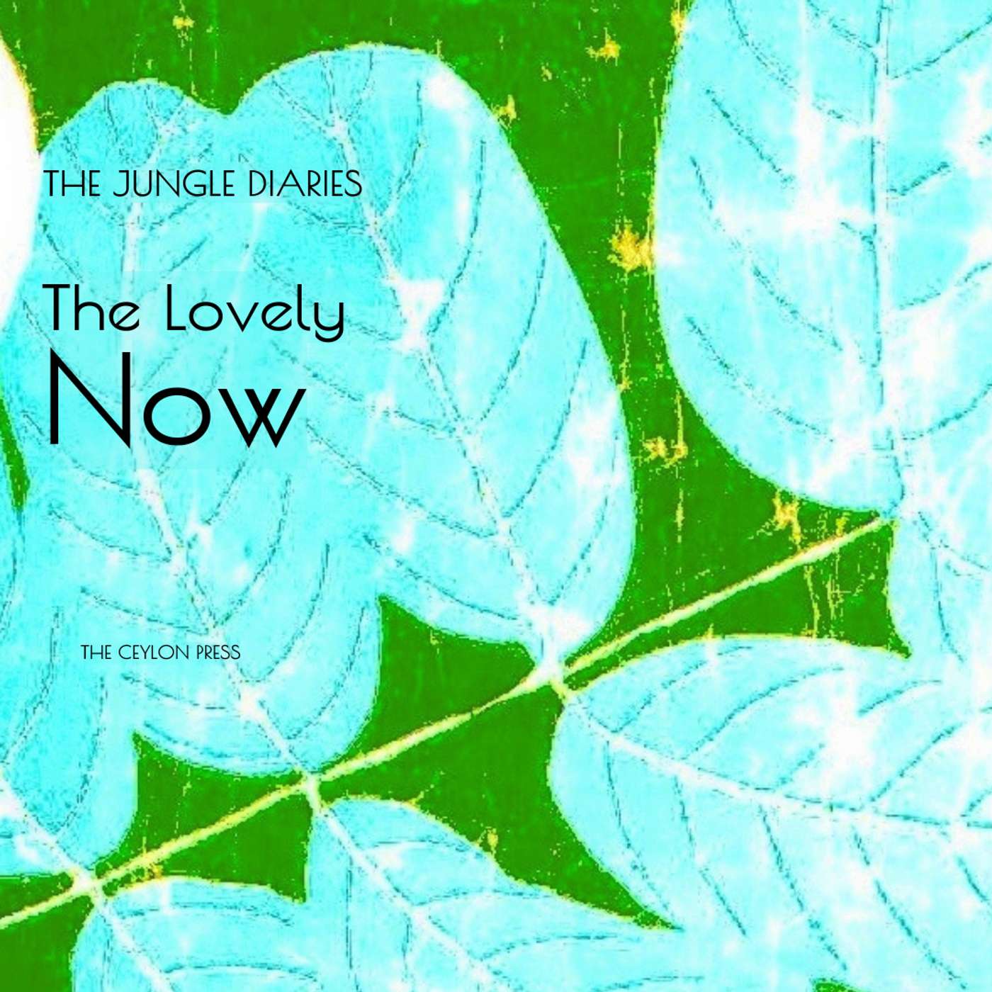 The Lovely Now