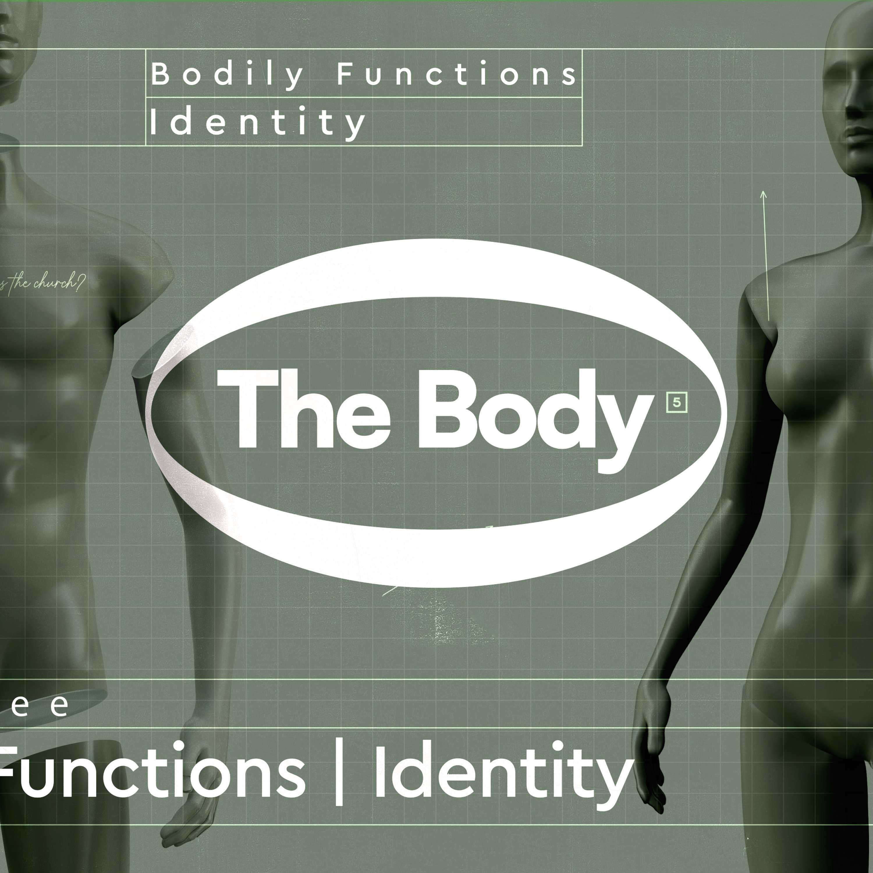 Bodily Functions: Identity
