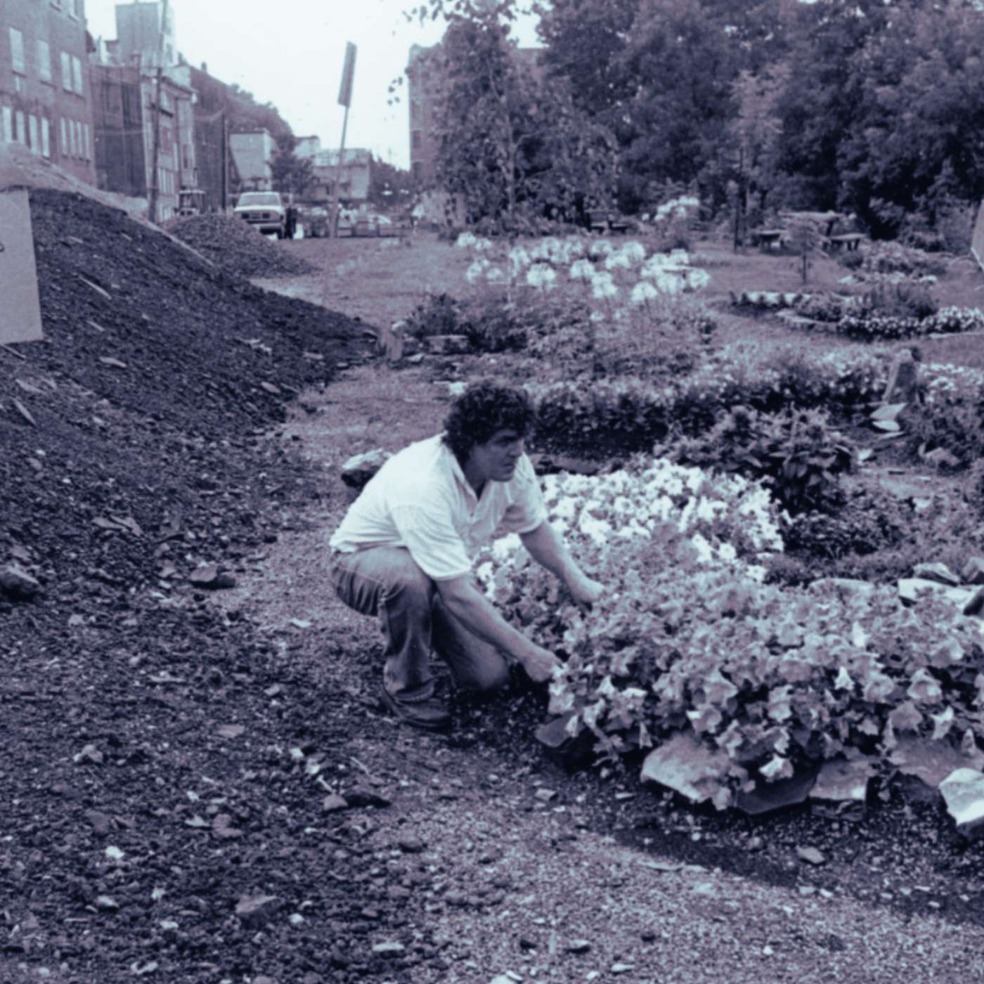 L'Îlot Fleurie - 20 ans de laboratoire artistique