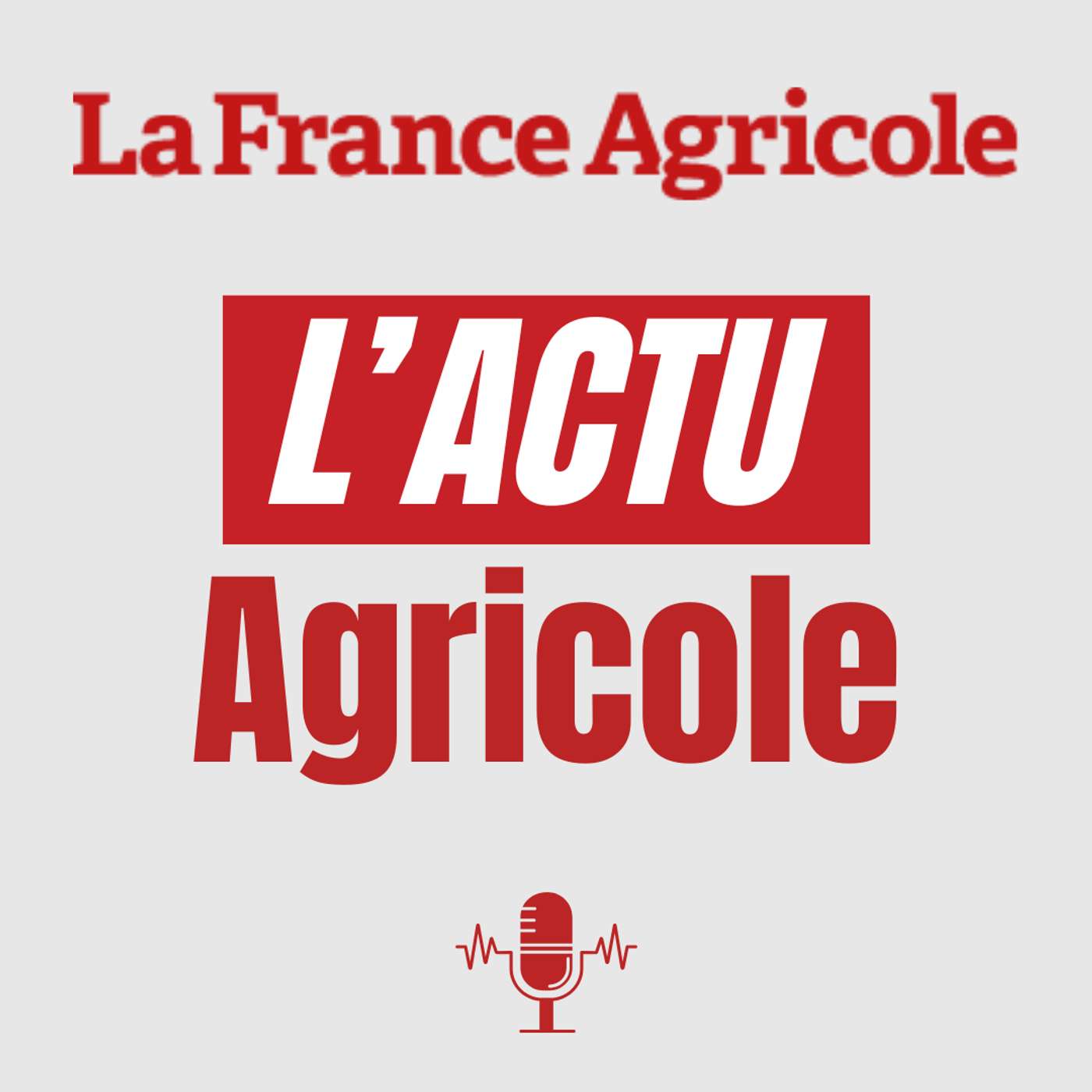 Actualité podcast artwork