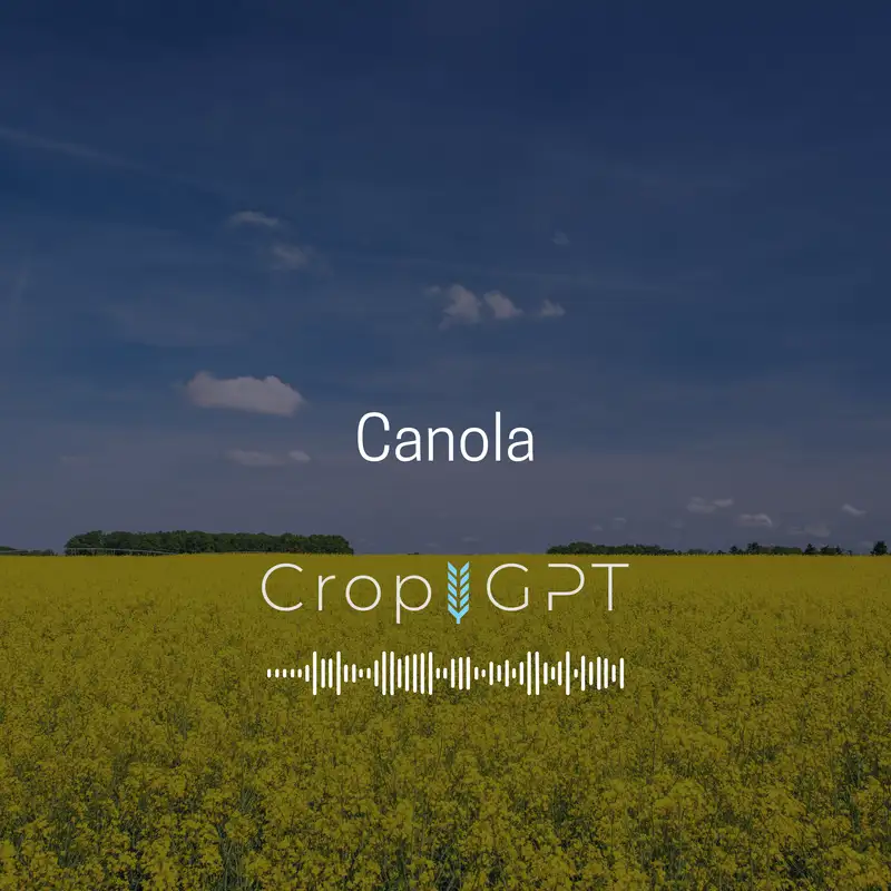 CropGPT - Canola - Week 31