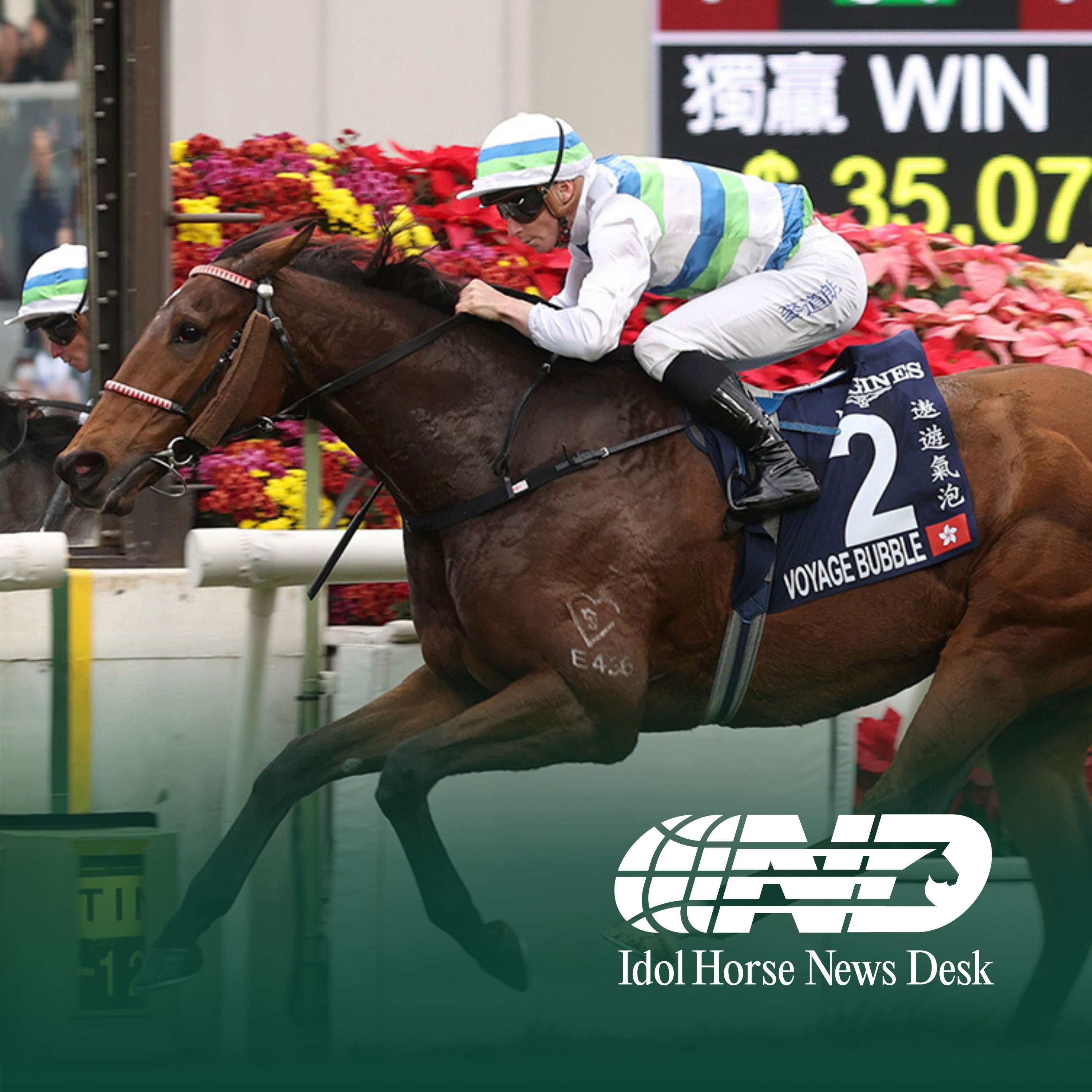 Idol Horse News Desk