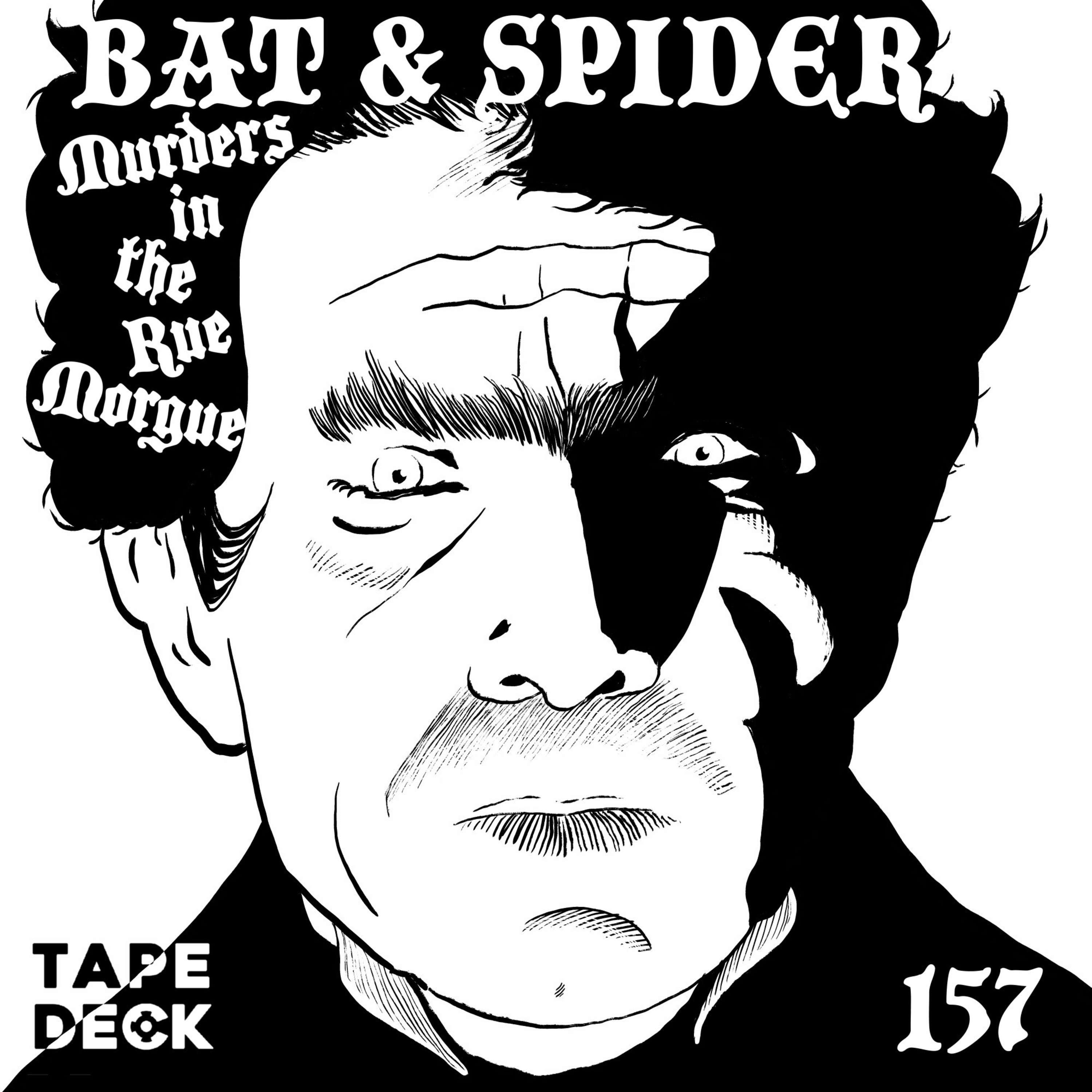 BAT AND SPIDER