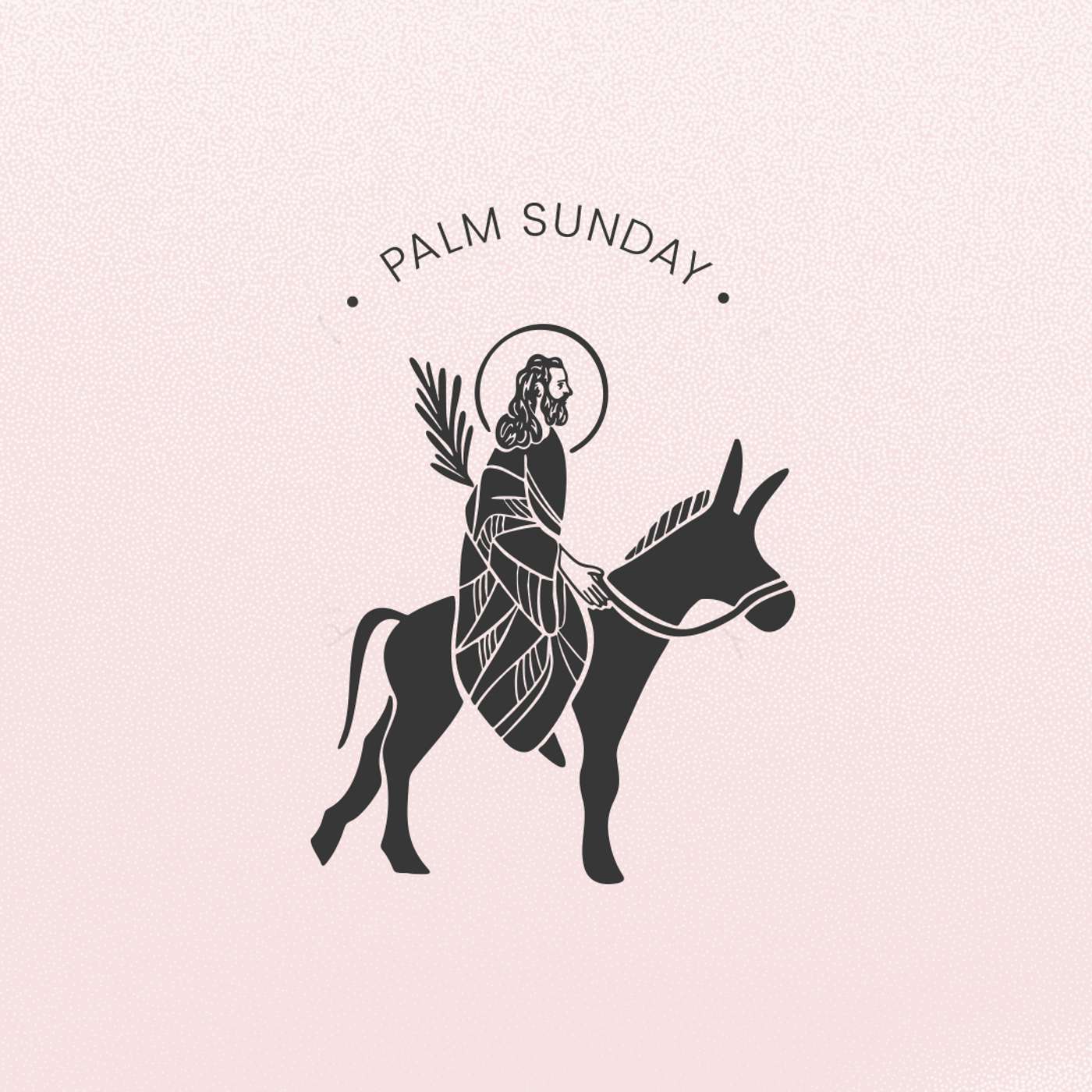 The King We Want or the King We Need | Palm Sunday | Matthew 21:1-11
