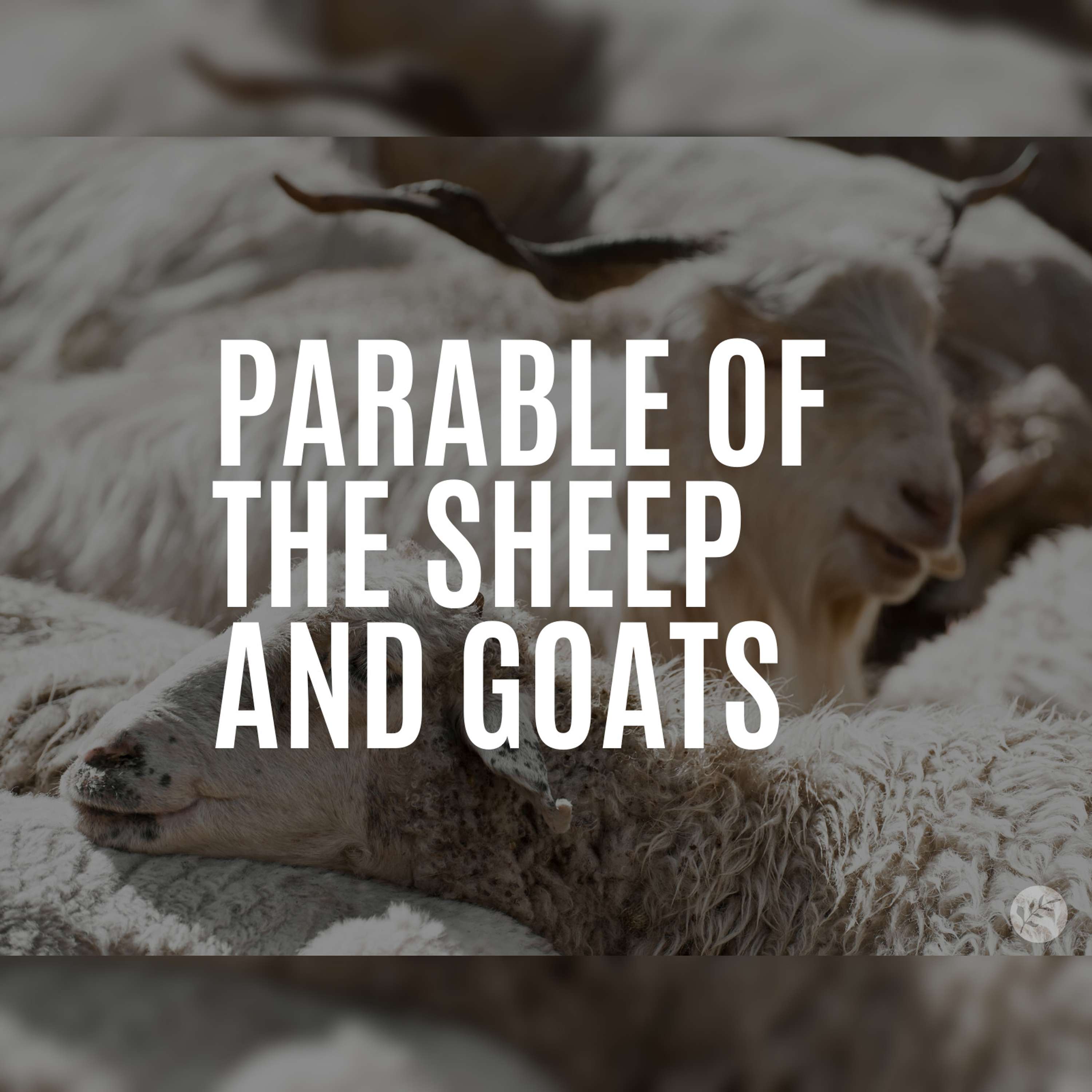 The Parable of the Sheep and Goats | Matthew 25:31-46