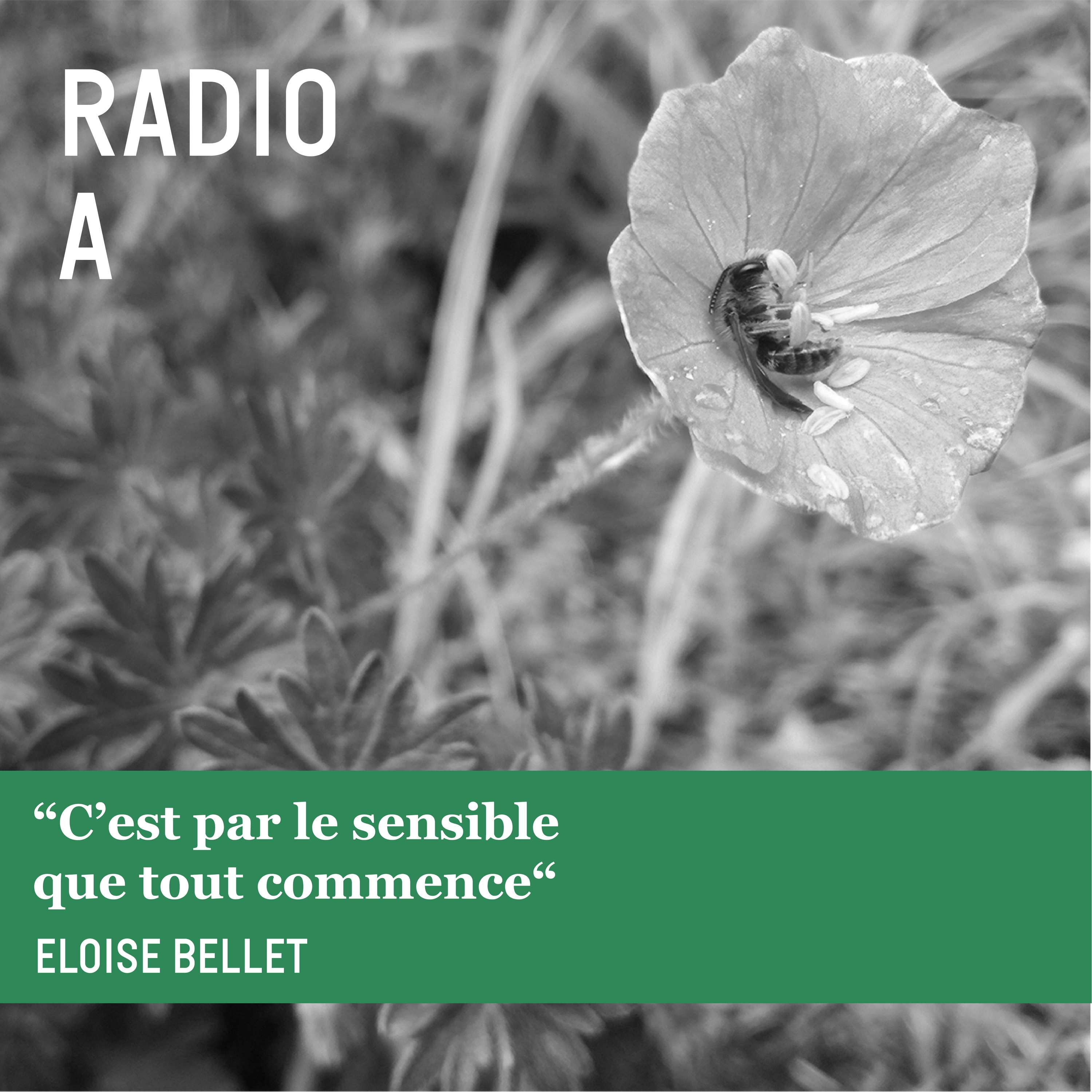 “C’est par le sensible que tout commence“ - Eloise Bellet 