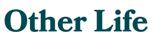 Other Life