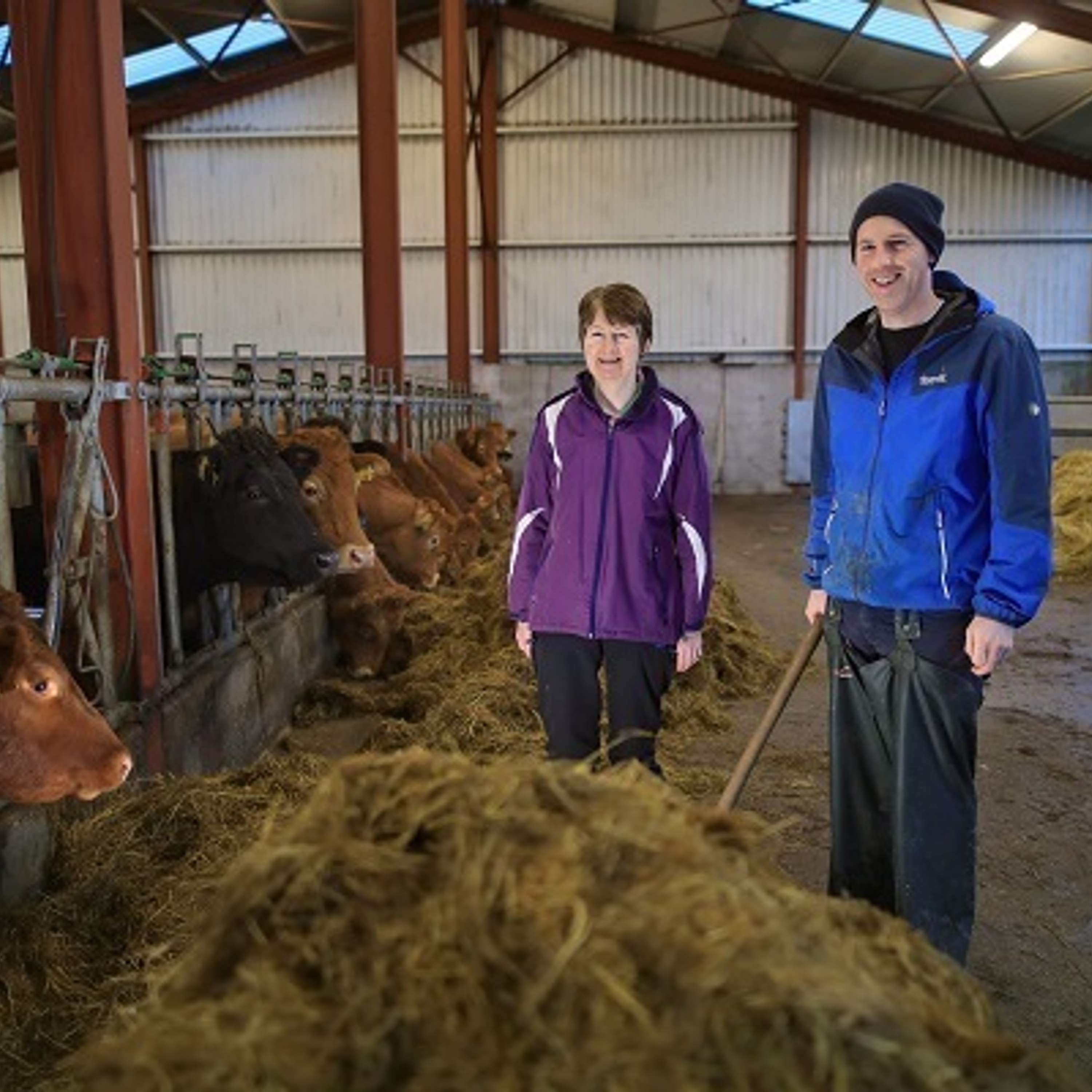 Future Beef: Autumn Calving update with Cork farmer, Ed Curtin