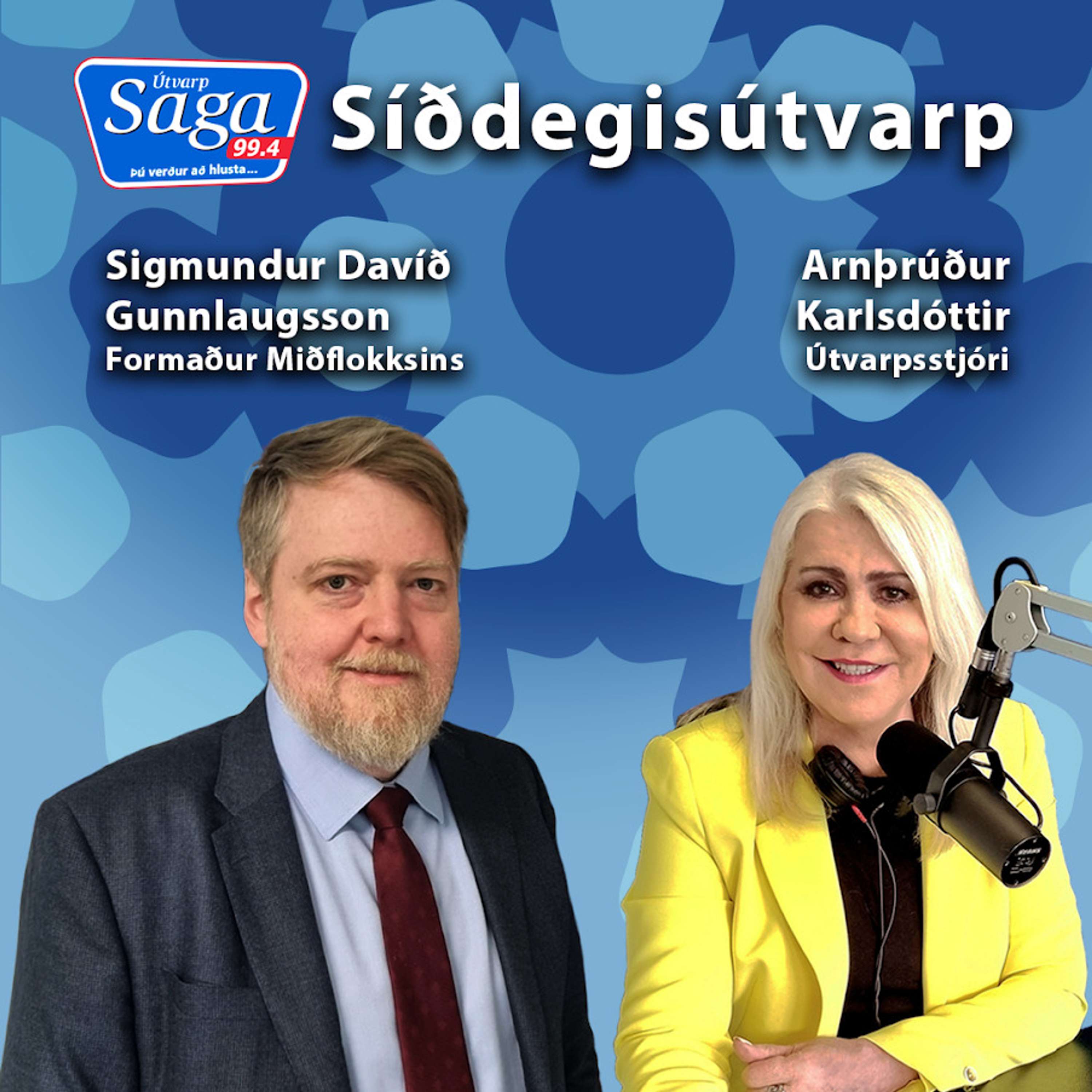 Sigmundur Davíð Gunnlaugsson - Stóru málin í stjórnmálunum