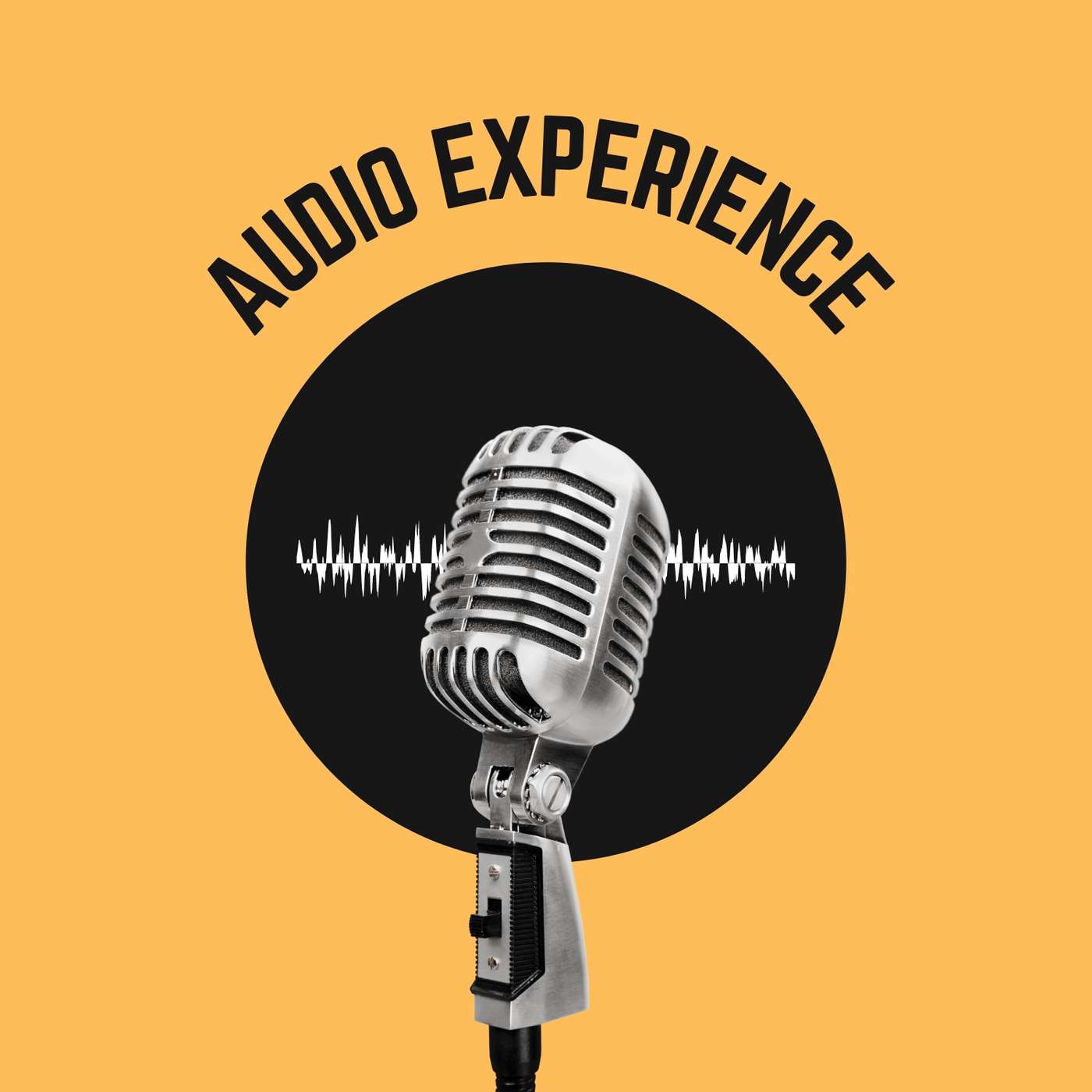 Audio Experience 2023