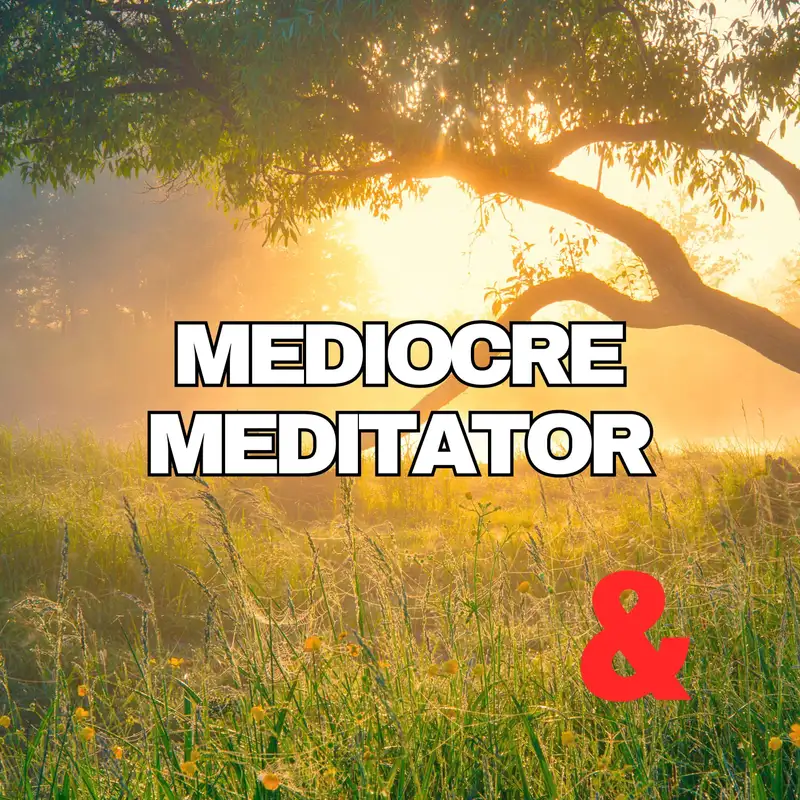 Mediocre Meditator