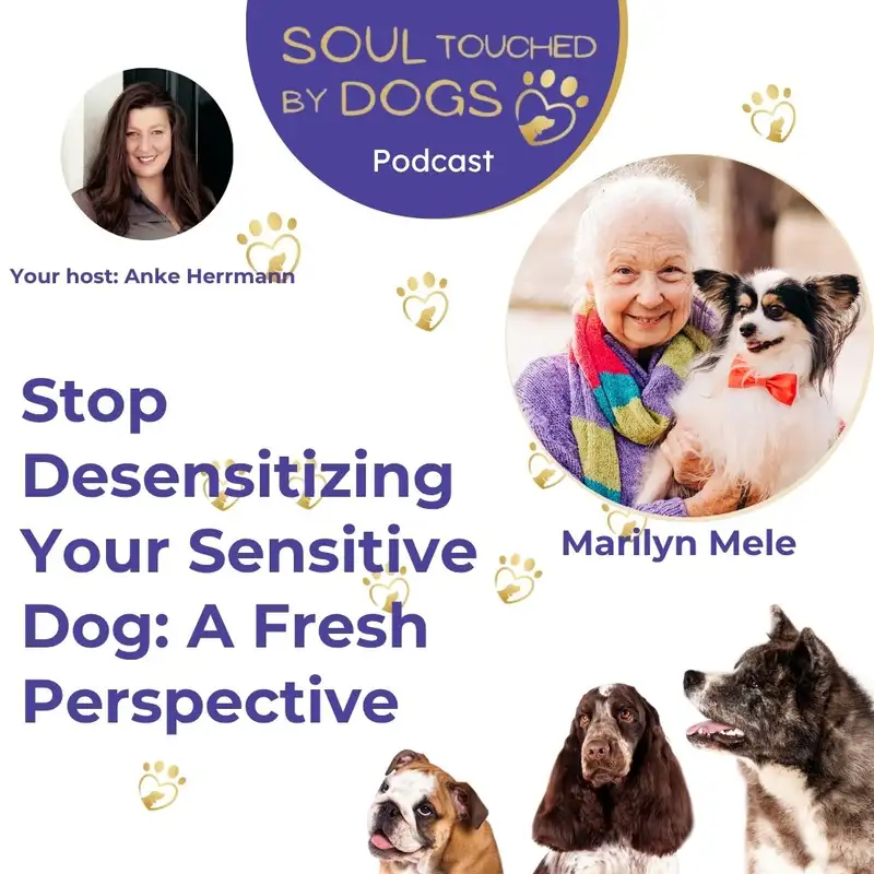 Marilyn Mele - Stop Desensitizing Your Sensitive Dog: A Fresh Perspective