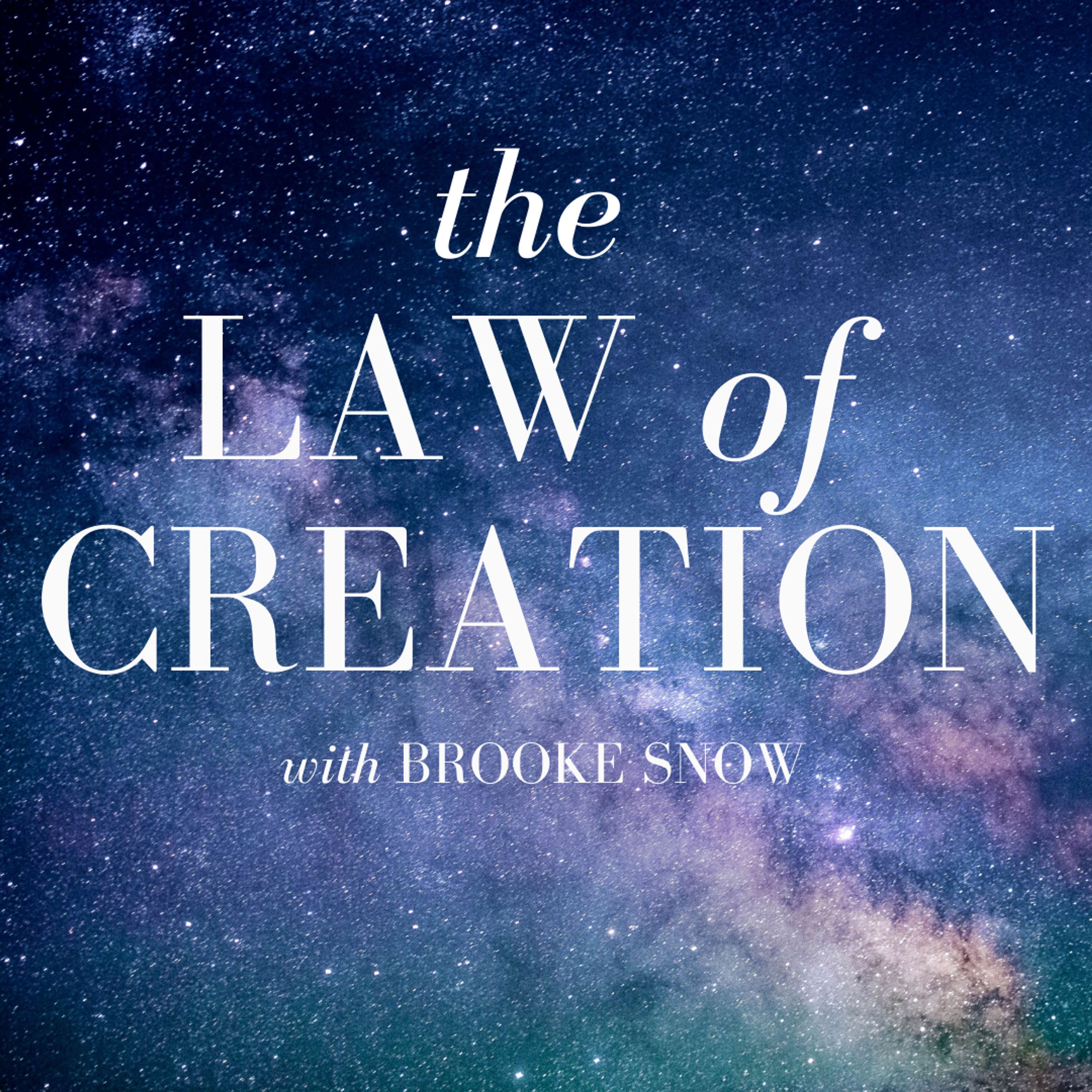 The Law of Creation with Brooke Snow