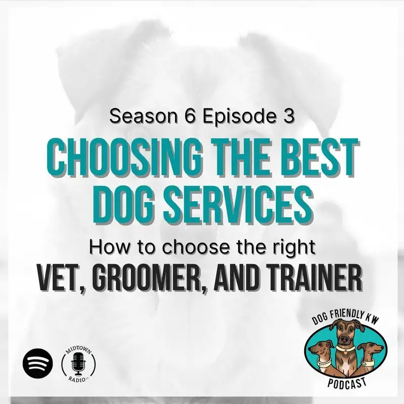 Full Episode: How to choose the BEST SERVICE PROVIDERS for your pup