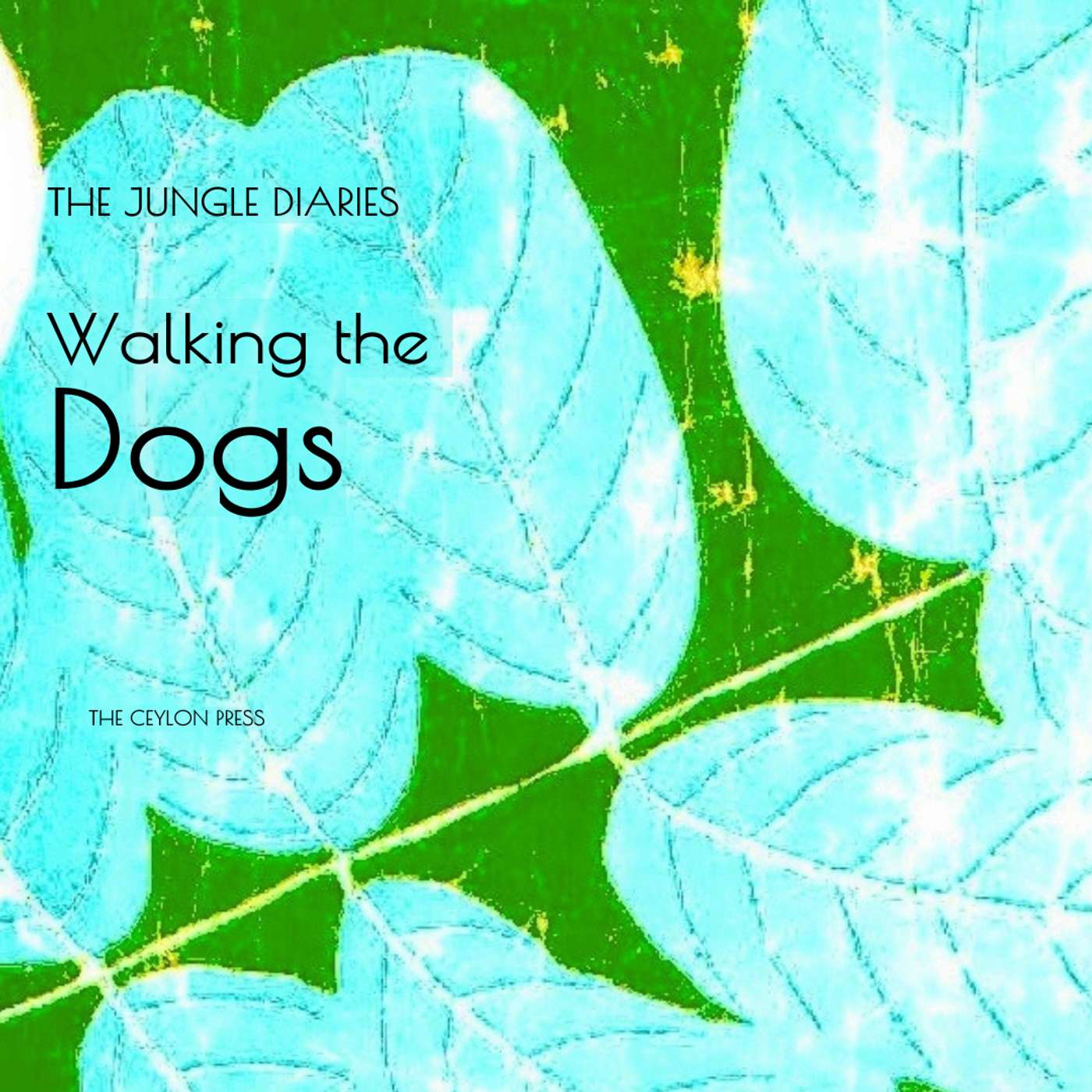 Walking The Dogs