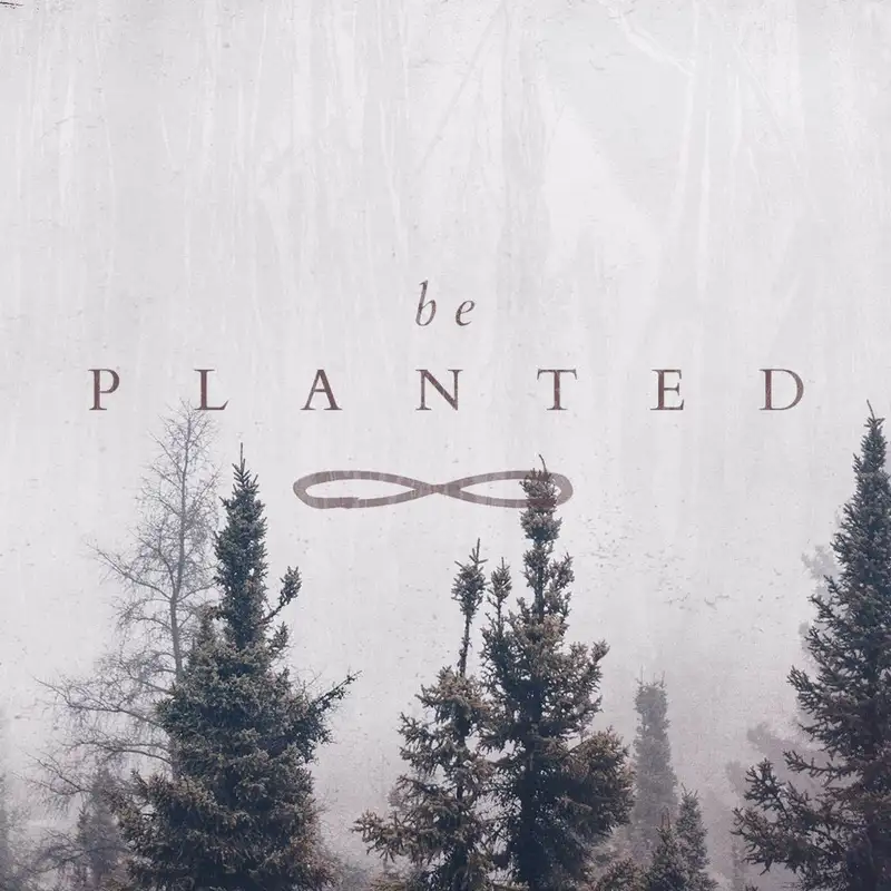 Be Planted Pt. 3: The Potential of a Seed || 10.08.17
