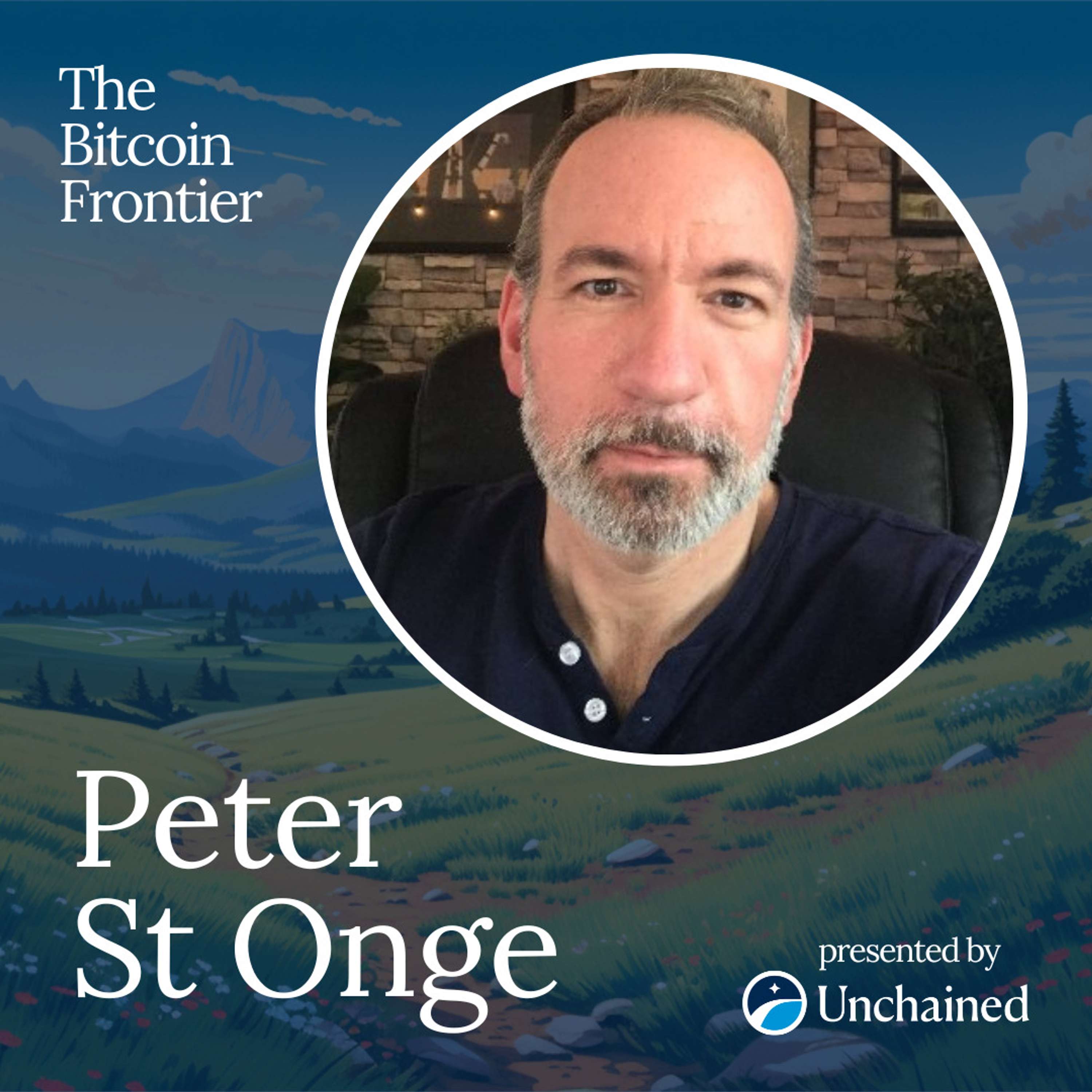 Your professor didn't study bitcoin with Peter St Onge