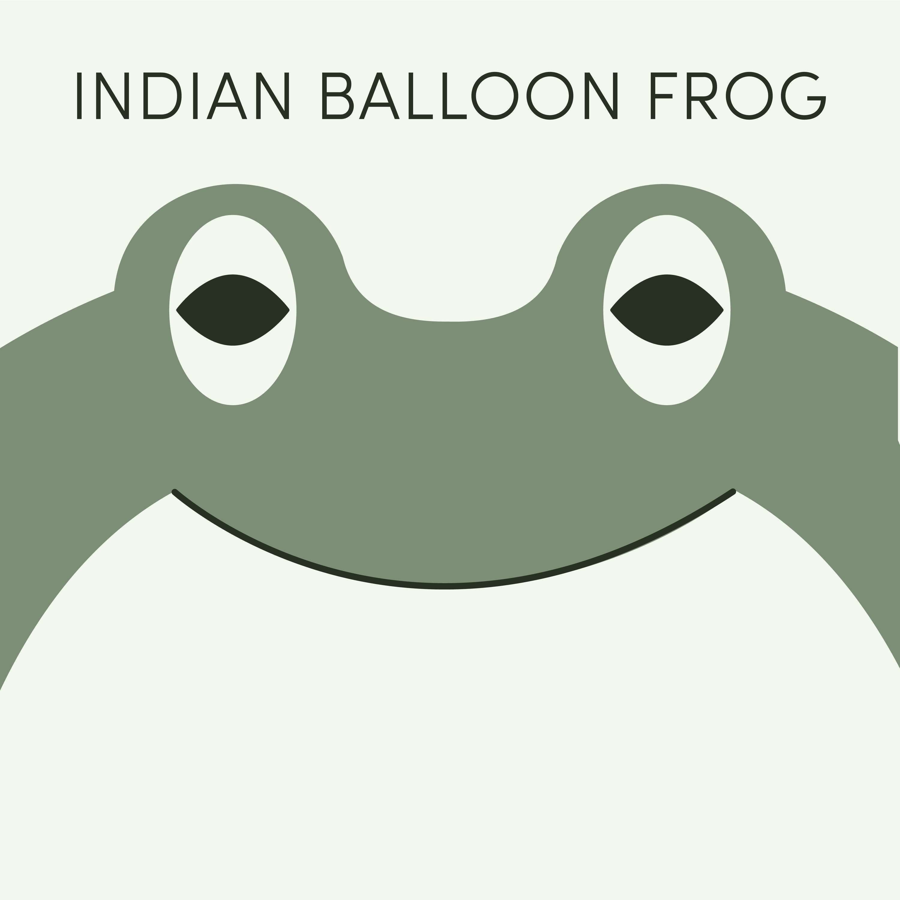 Indian Balloon Frog | Week of August 8th