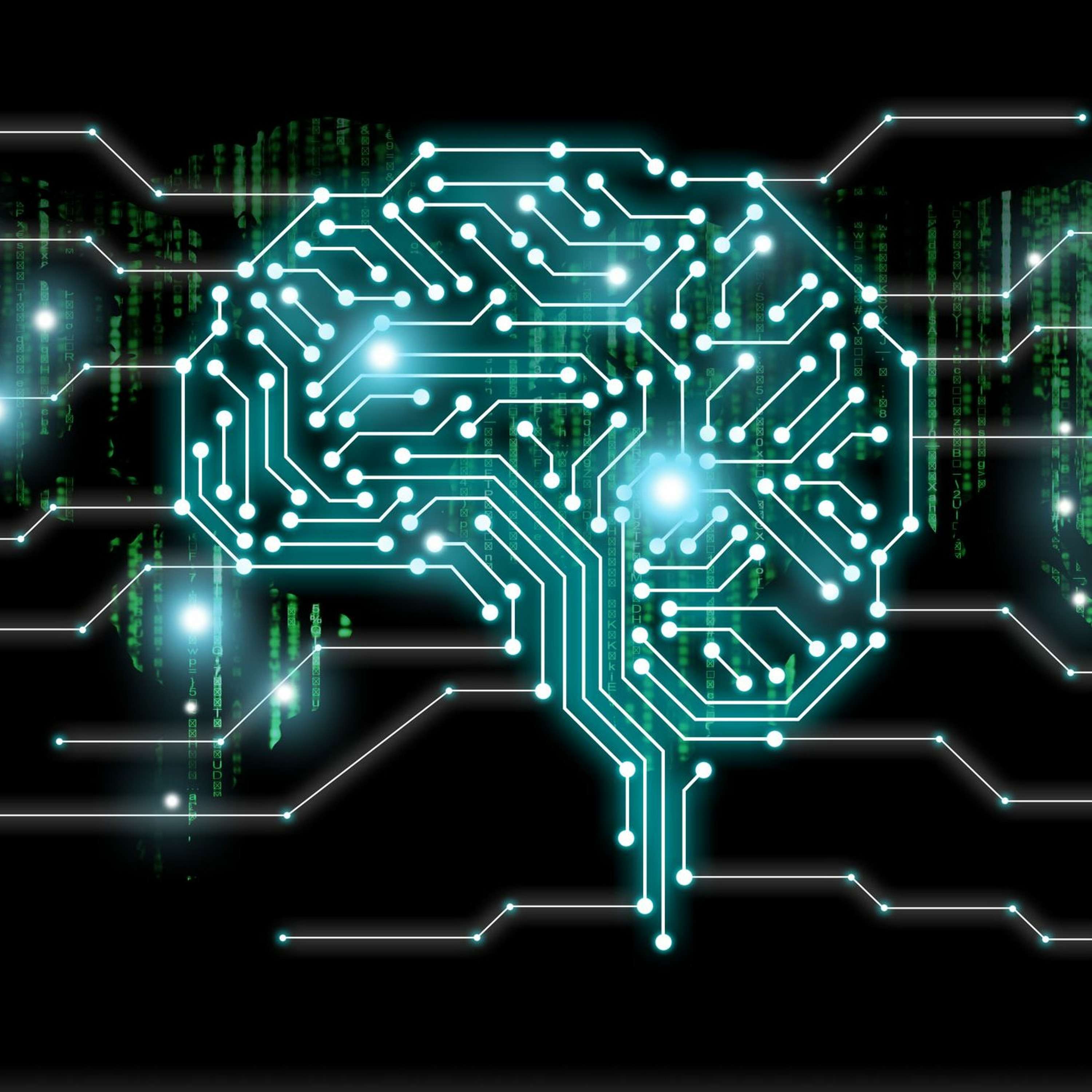 Future of Life Institute Podcast