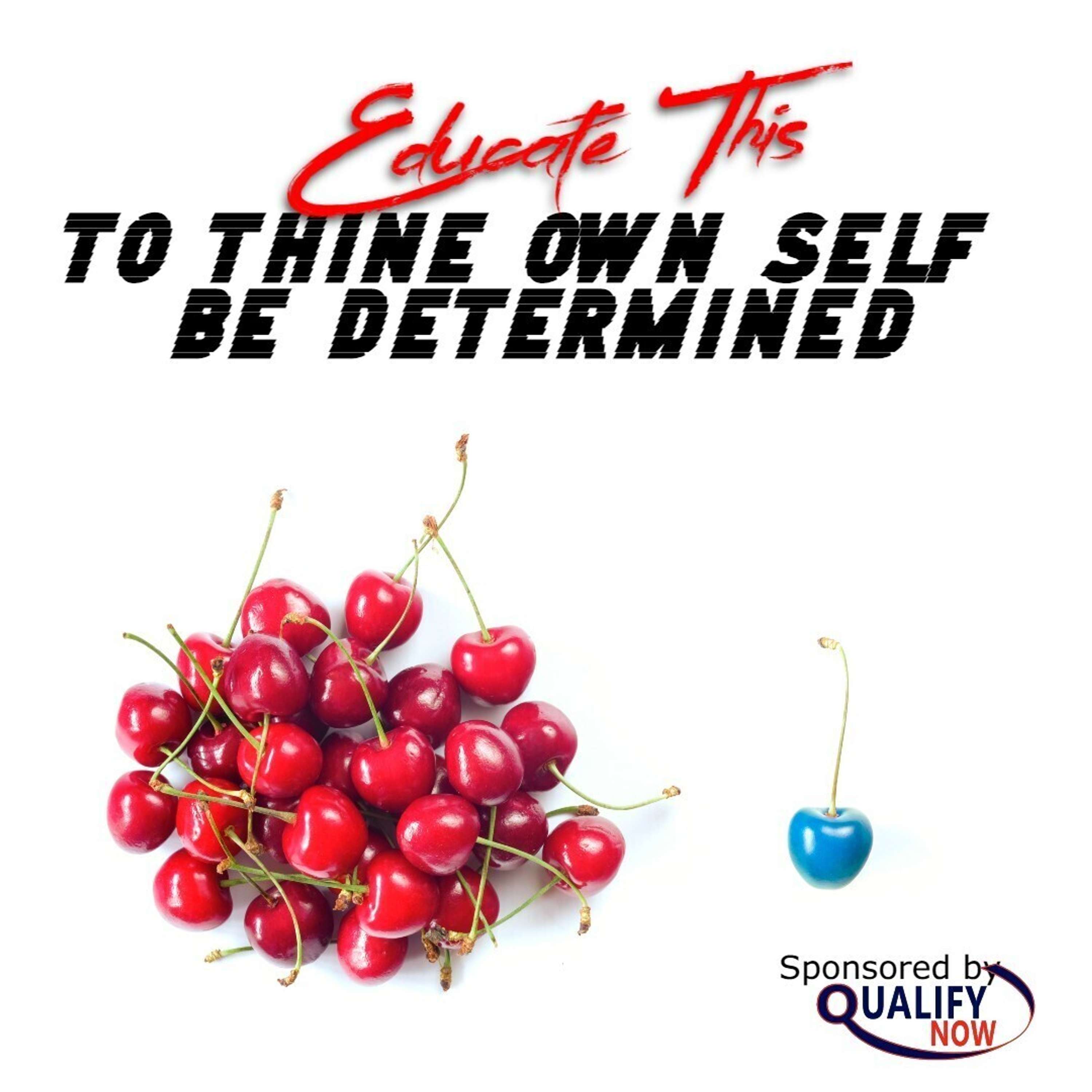 Educate This: A Podcast for Teachers, Trainers, Mentors, Coaches & Learners