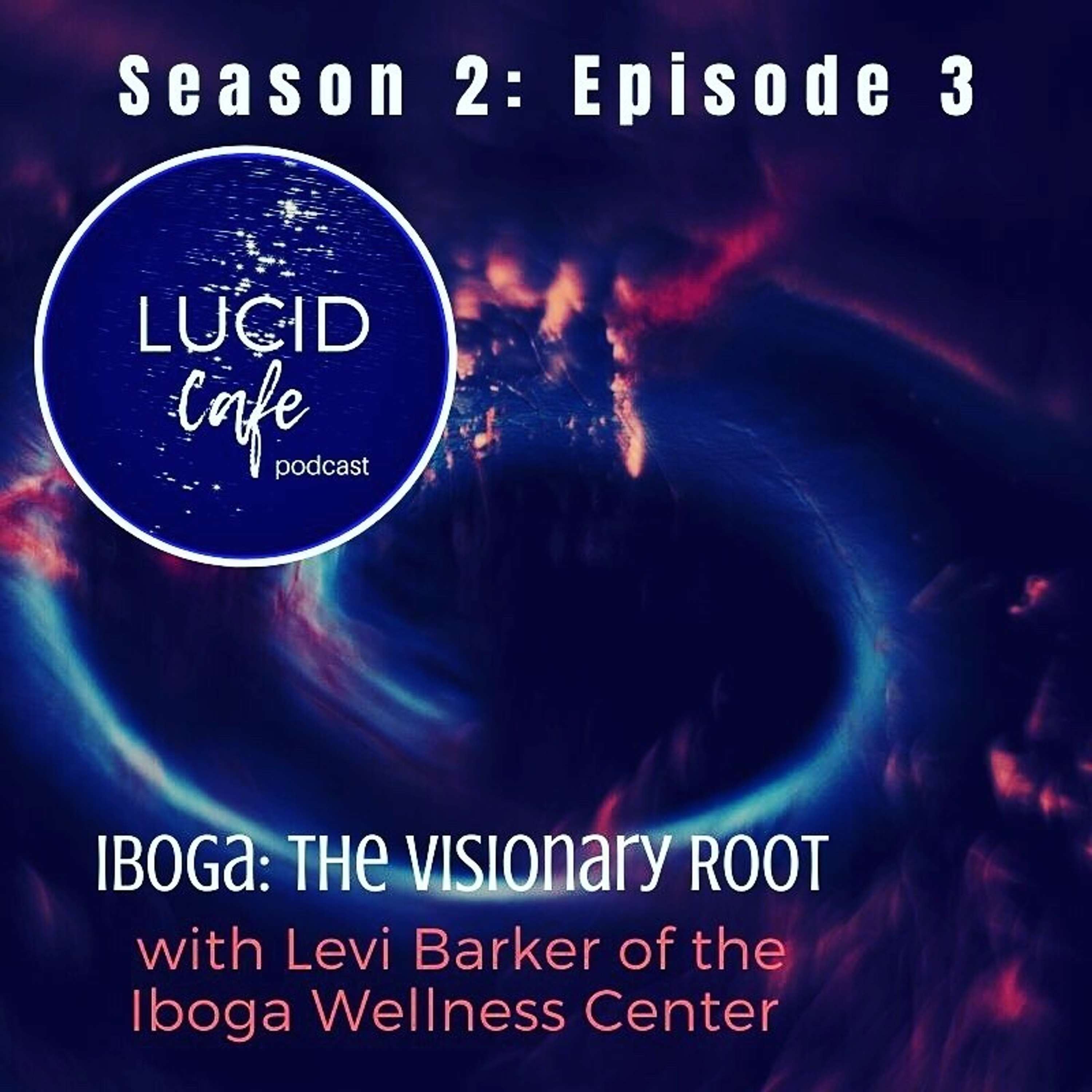Iboga: The Visionary Root