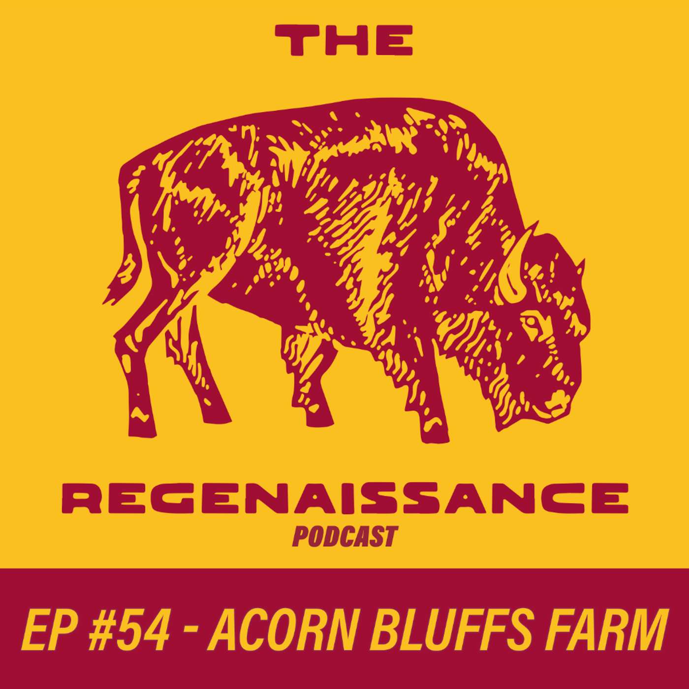 Raising Mangalica Pigs w/ Kenan @ Acorn Bluffs Farm | Ep #54
