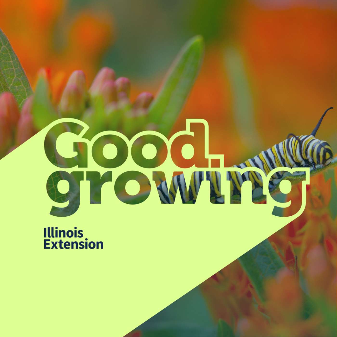 Good Growing
