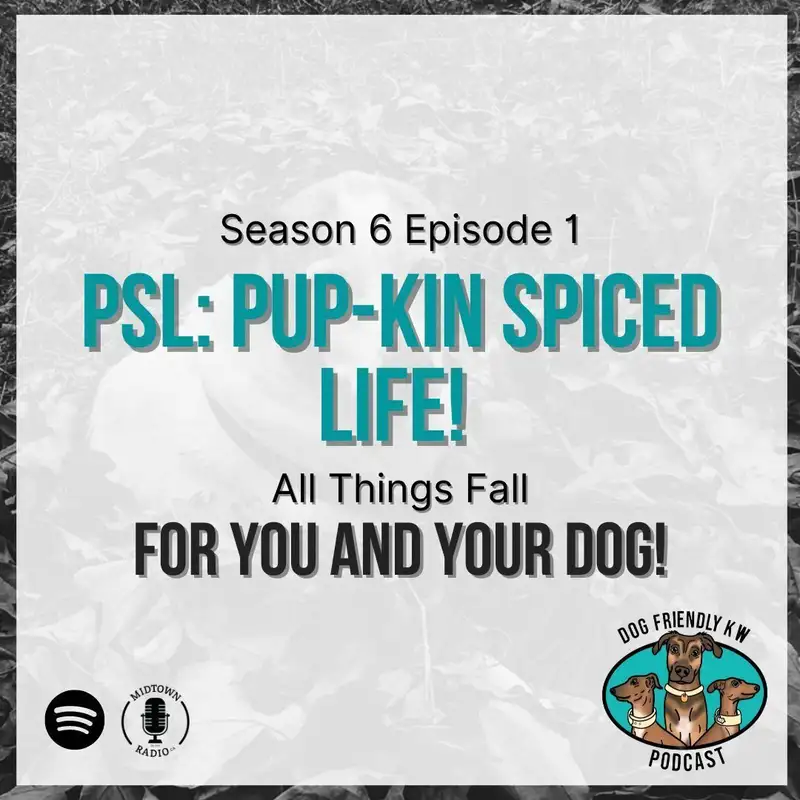 Bonus: Justine & Mackenzie's DESKTOP DOG TRIVIA! 