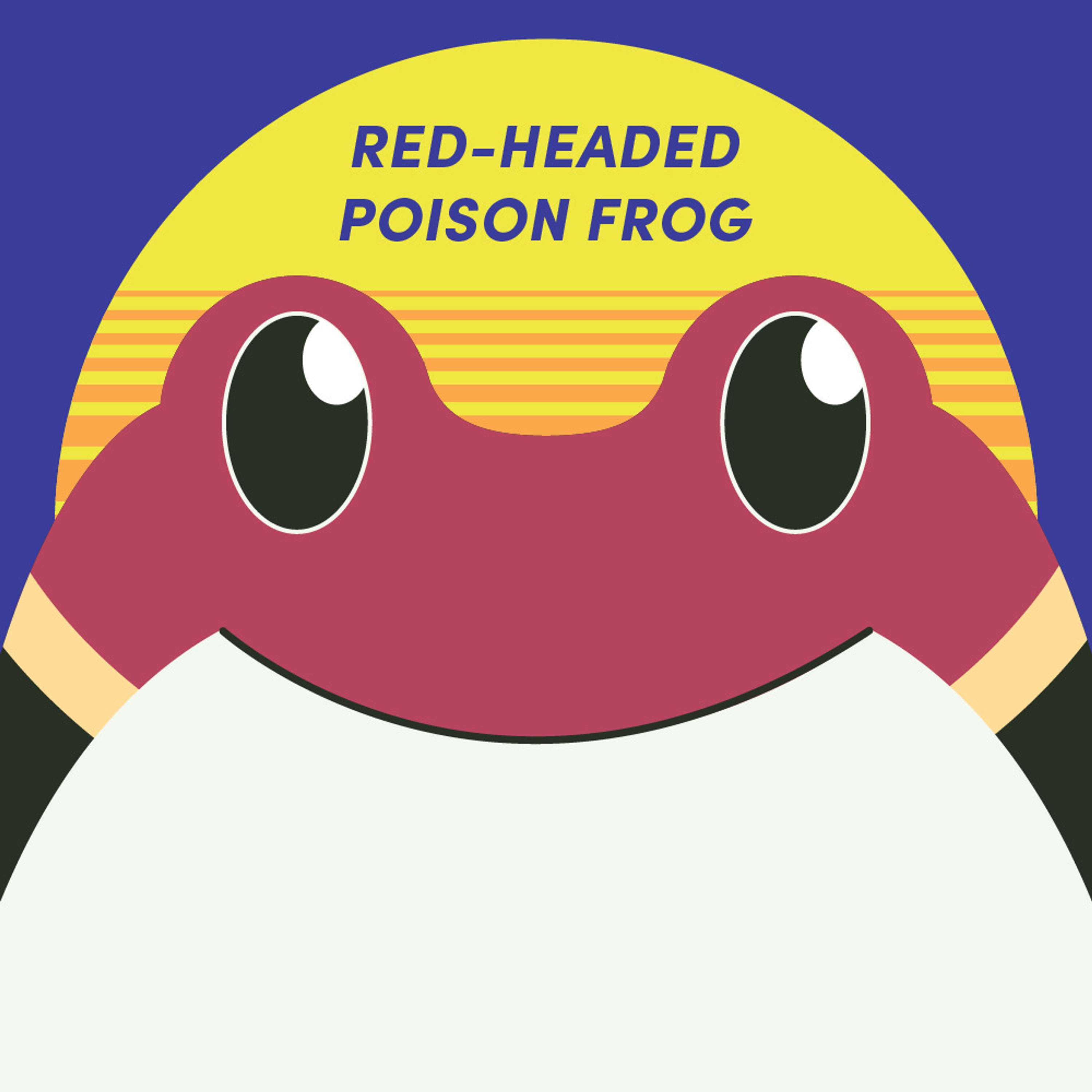 Red-Headed Poison Frog | Week of Dartch 18th