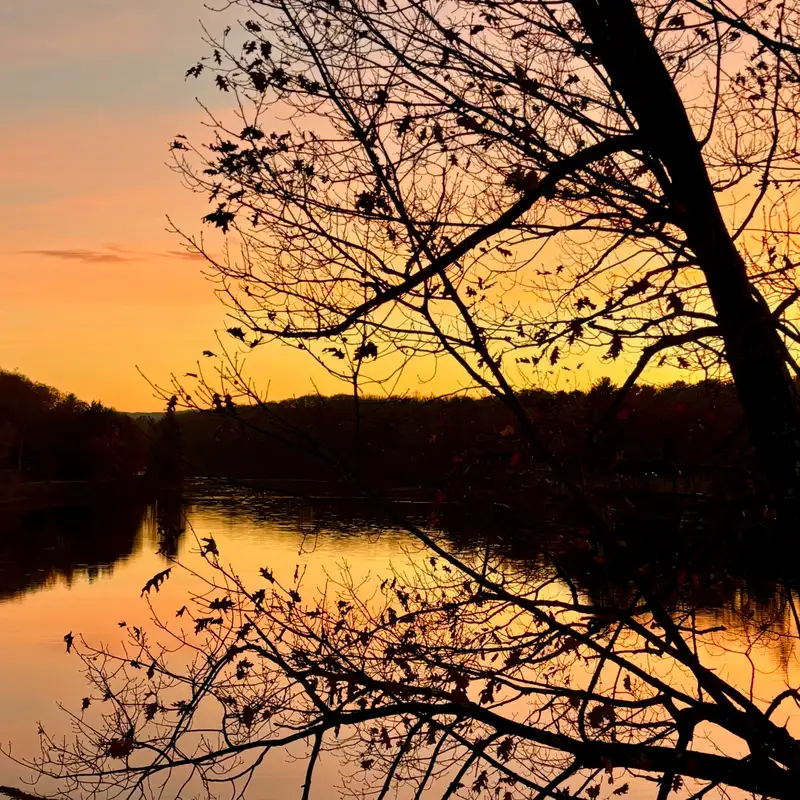 The connection between nature and brain health