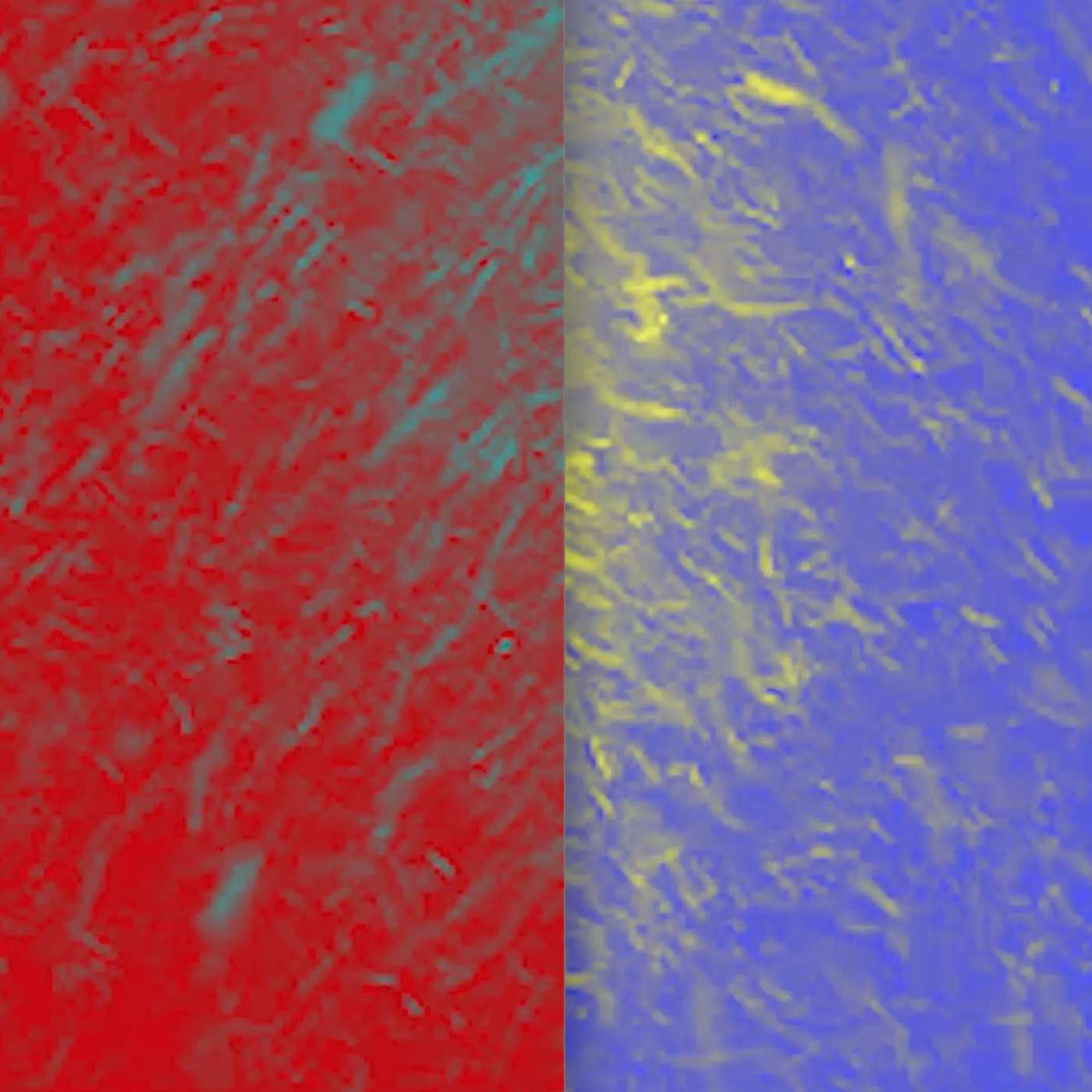 Reaching Winter Grounds