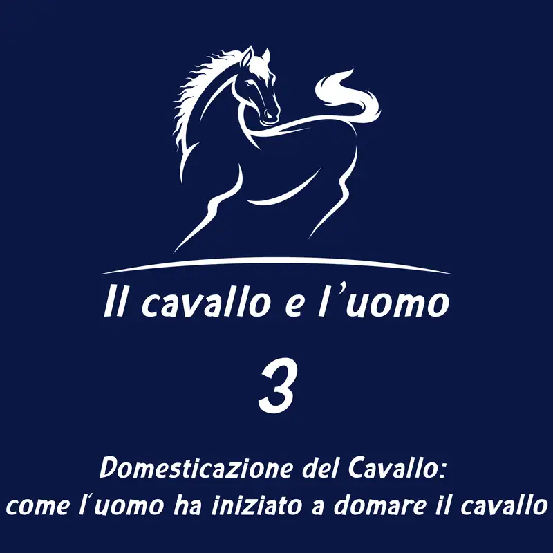 Domesticazione del Cavallo: come l'uomo ha iniziato a domare il cavallo