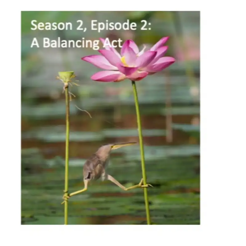 Season 2, Episode 2: A Balancing Act