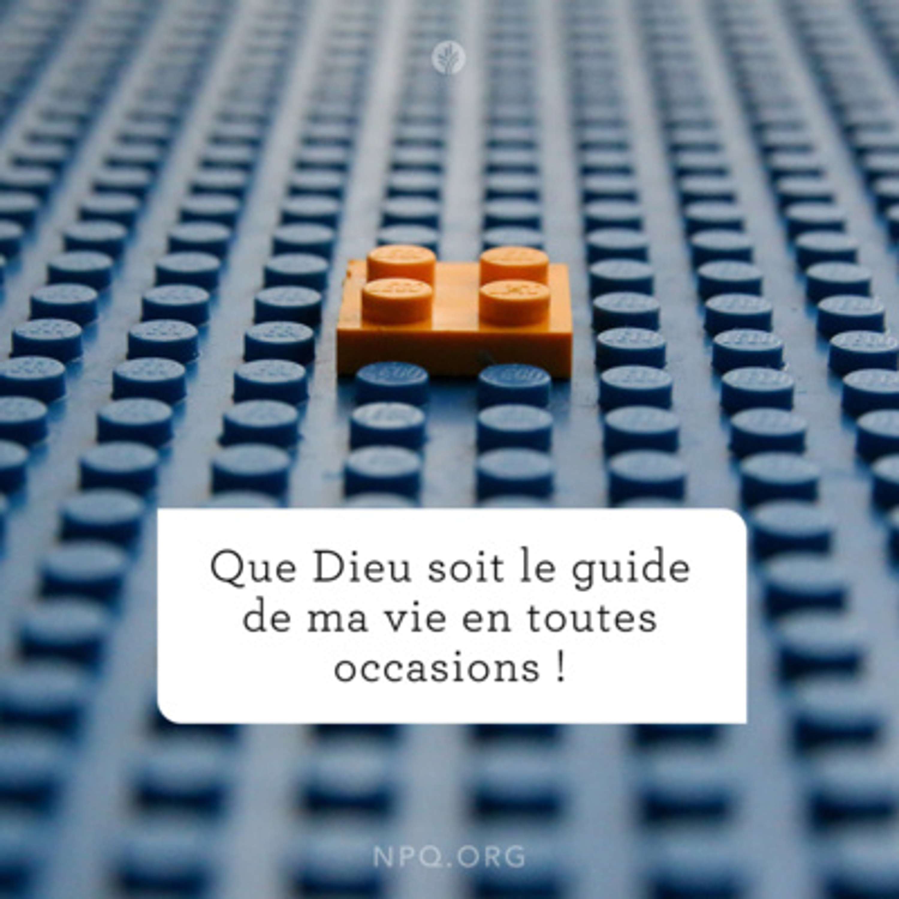 Notre Pain Quotidien podcast