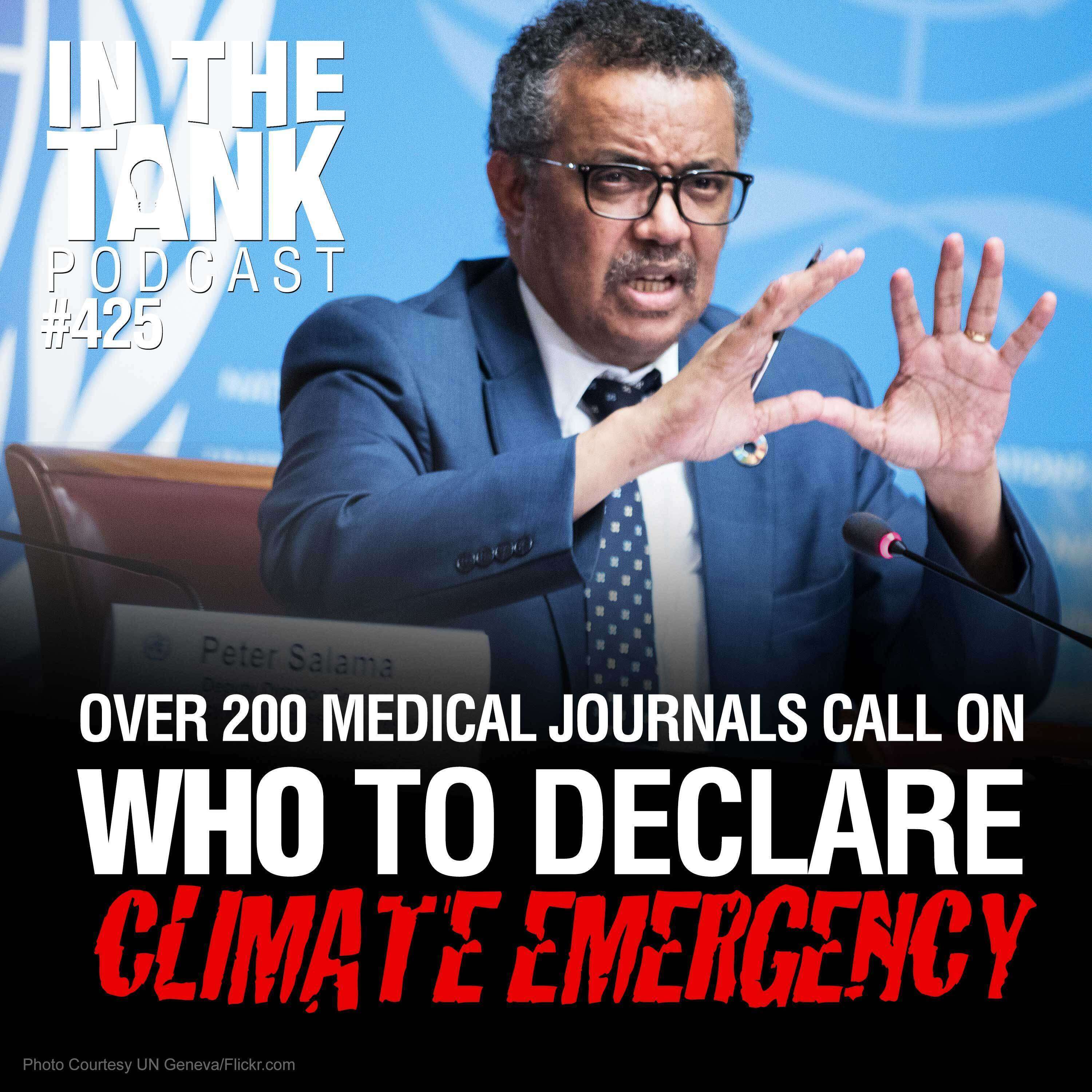 WHO To Declare Climate Emergency?  - In The Tank #425