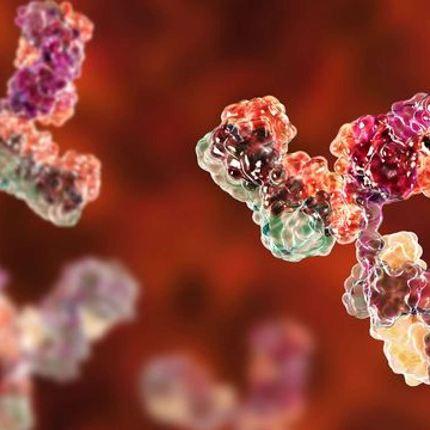 New Antibody Boosts Cancer Fight, HSL's Nuclear Role Revealed, Gene HMGN1 Causes Heart Defects, Einstein College Launches Diabetes Hub, and more...