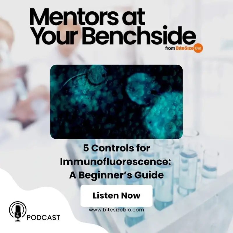 5 Controls for Immunofluorescence: A Beginner’s Guide