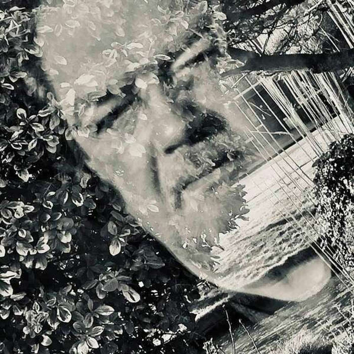 Henk Tijbosch - Vorm en inhoud Henk Tijbosch - Vorm en inhoud